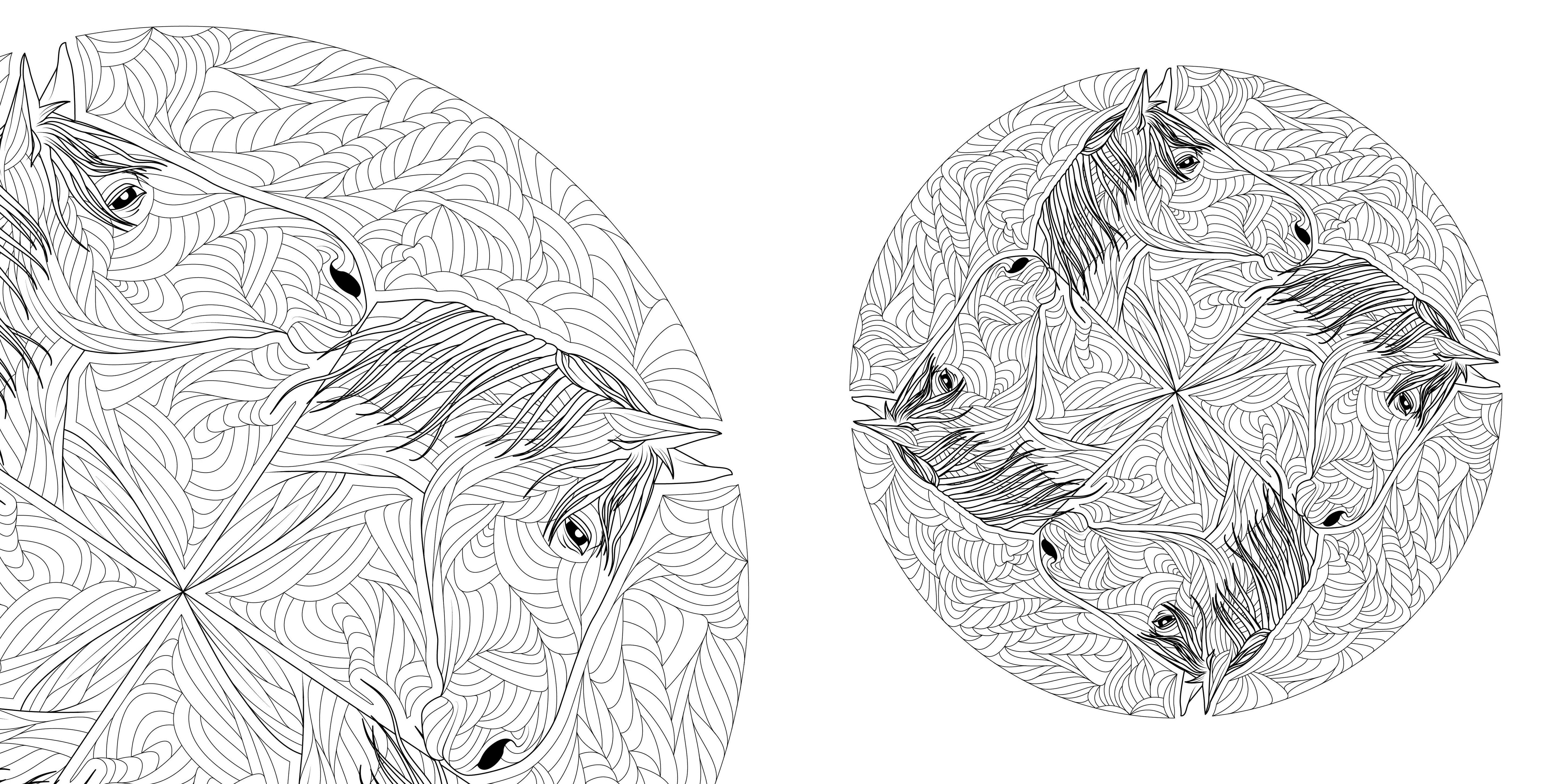 Beispielinhalt (Bild) Tier-Mandalas