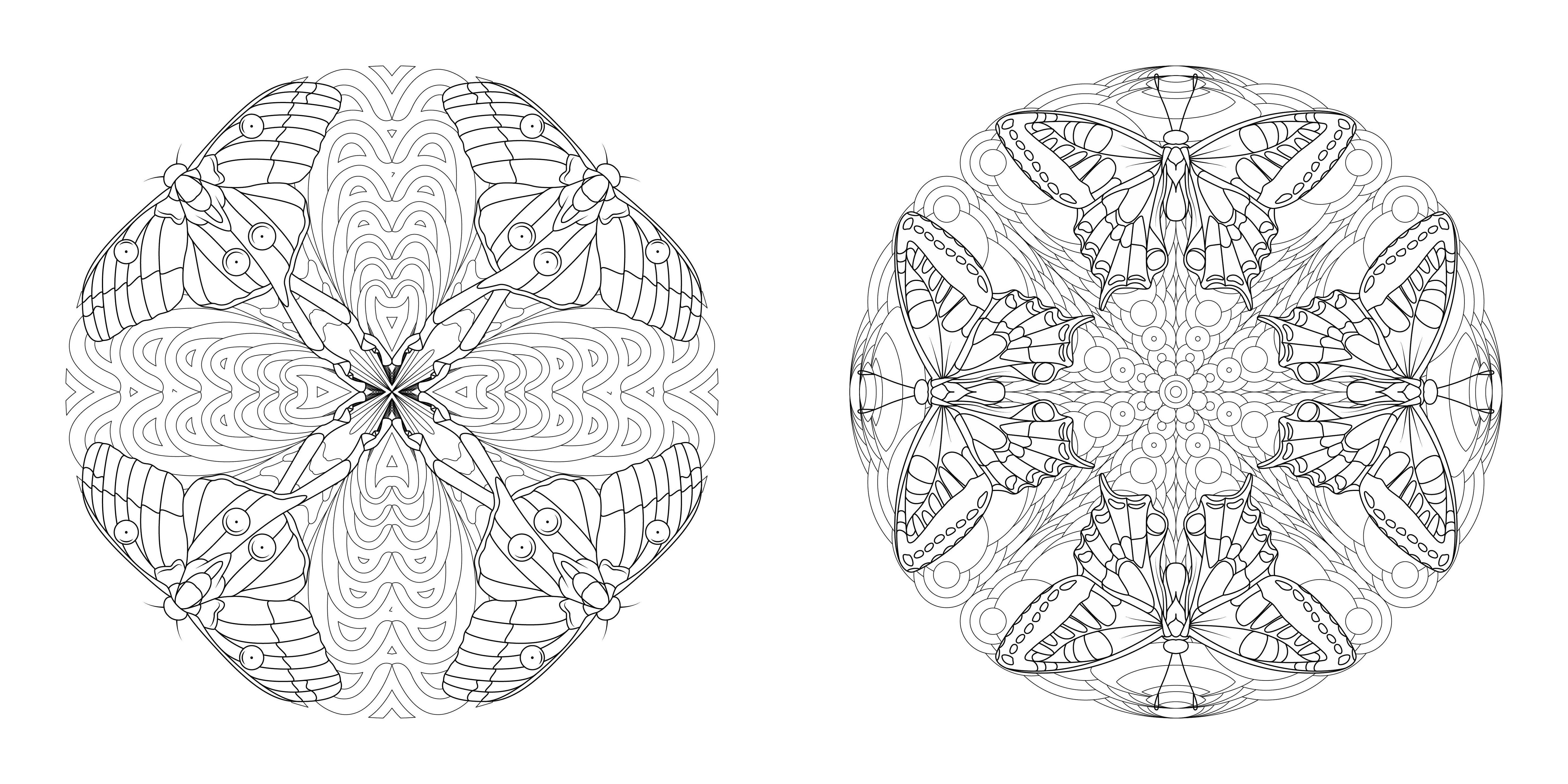 Beispielinhalt (Bild) Tier-Mandalas