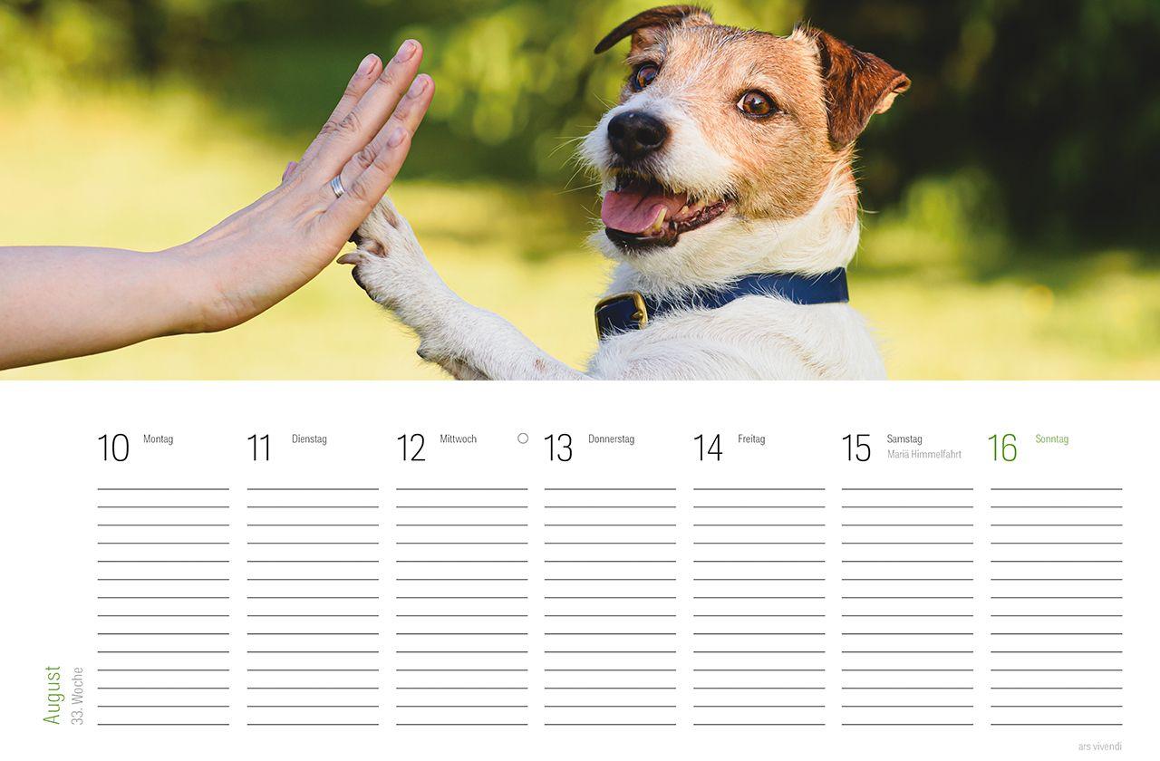 Beispielinhalt (Bild) Tischkalender Hunde 2027