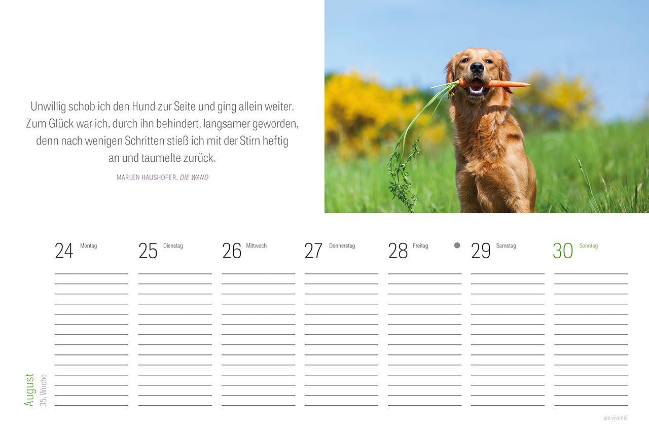 Beispielinhalt (Bild) Tischkalender Hunde 2027