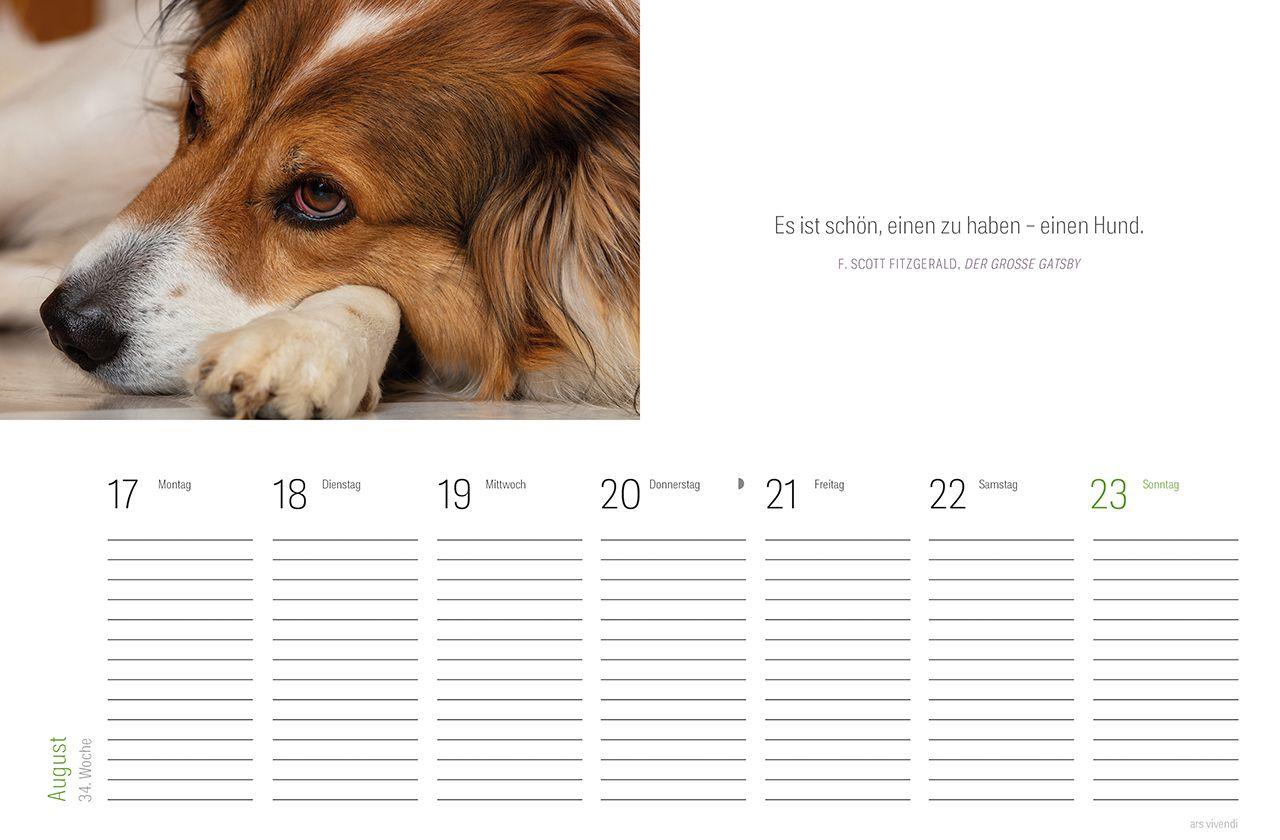 Beispielinhalt (Bild) Tischkalender Hunde 2027