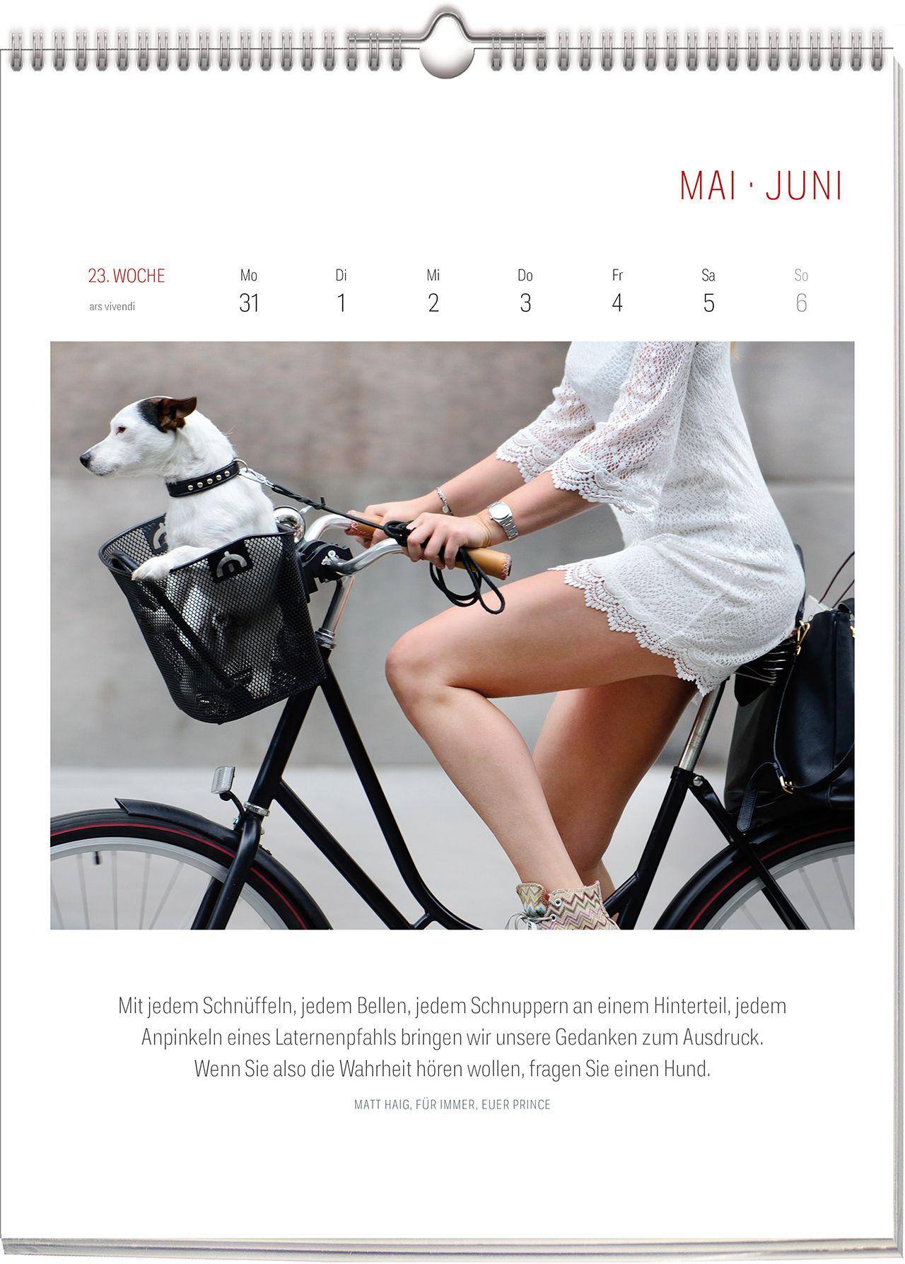 Beispielinhalt (Bild) Literarischer Fahrrad Kalender 2027