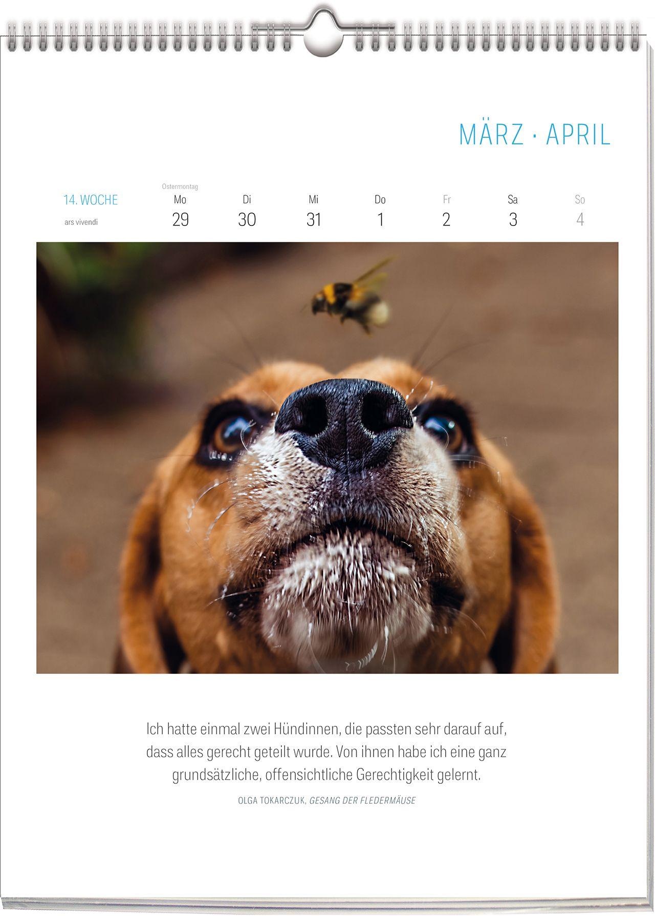 Beispielinhalt (Bild) Literarischer Hunde Kalender 2027