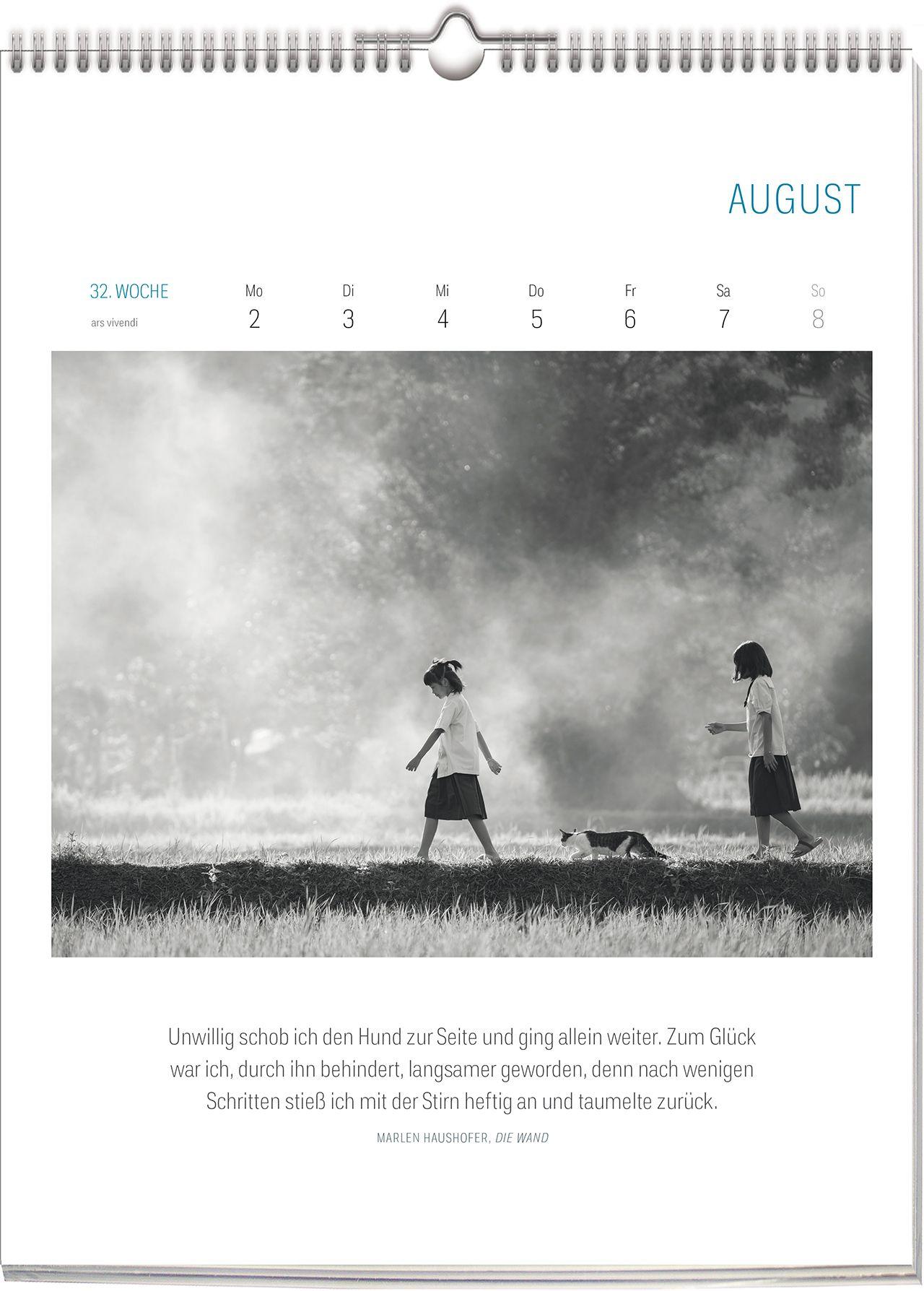 Beispielinhalt (Bild) Literarisch durchs Jahr - Katzen 2027