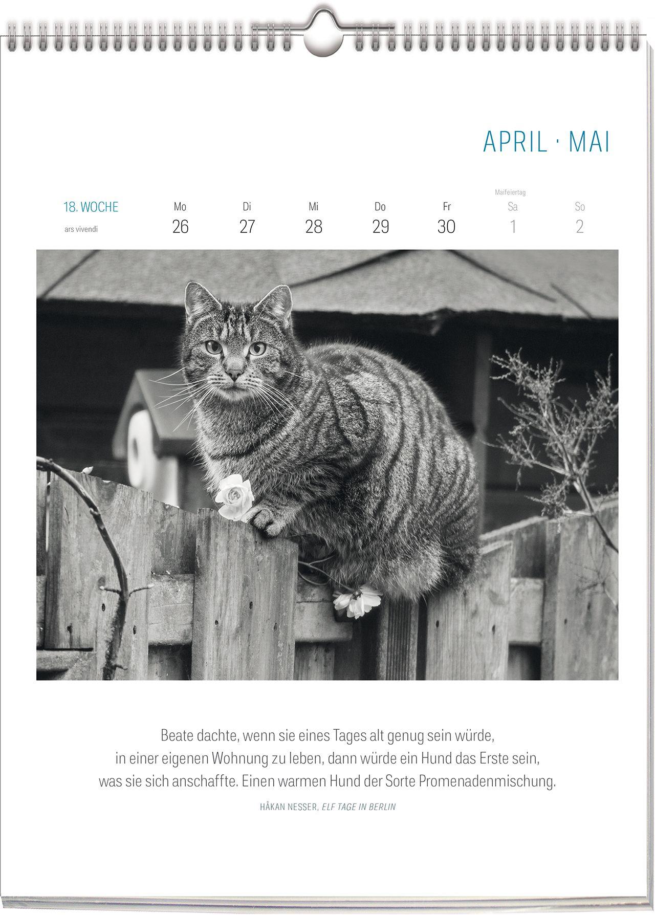 Beispielinhalt (Bild) Literarisch durchs Jahr - Katzen 2027