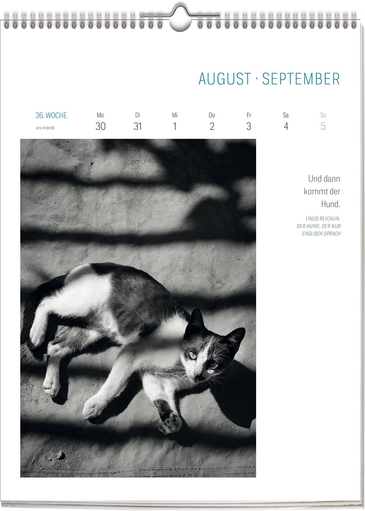 Beispielinhalt (Bild) Literarisch durchs Jahr - Katzen 2027