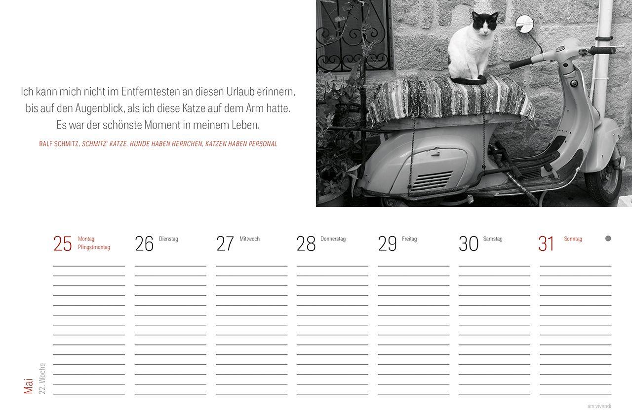 Beispielinhalt (Bild) Tischkalender Katzen 2027