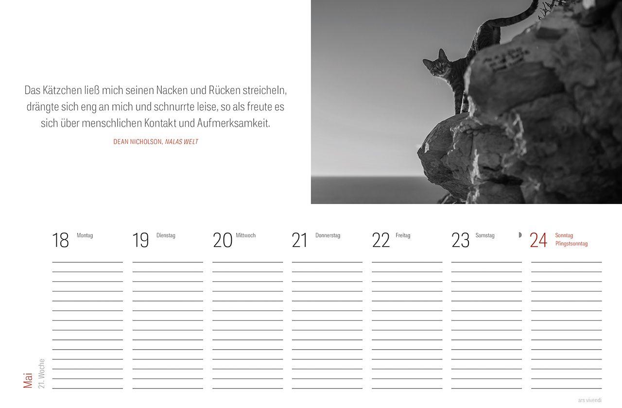 Beispielinhalt (Bild) Tischkalender Katzen 2027