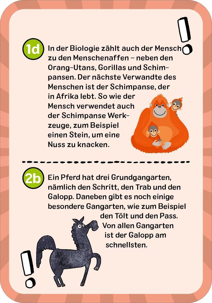 Beispielinhalt (Bild) Das ultimative Wissens-Quiz