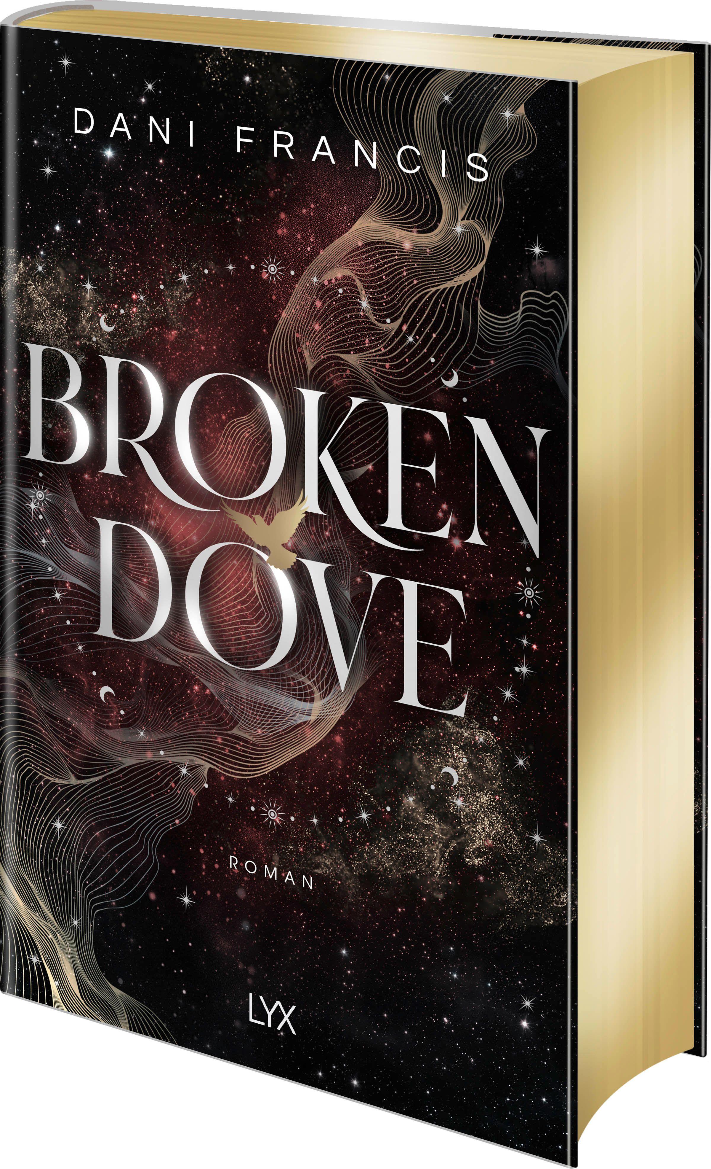 Vorderes Coverbild Broken Dove