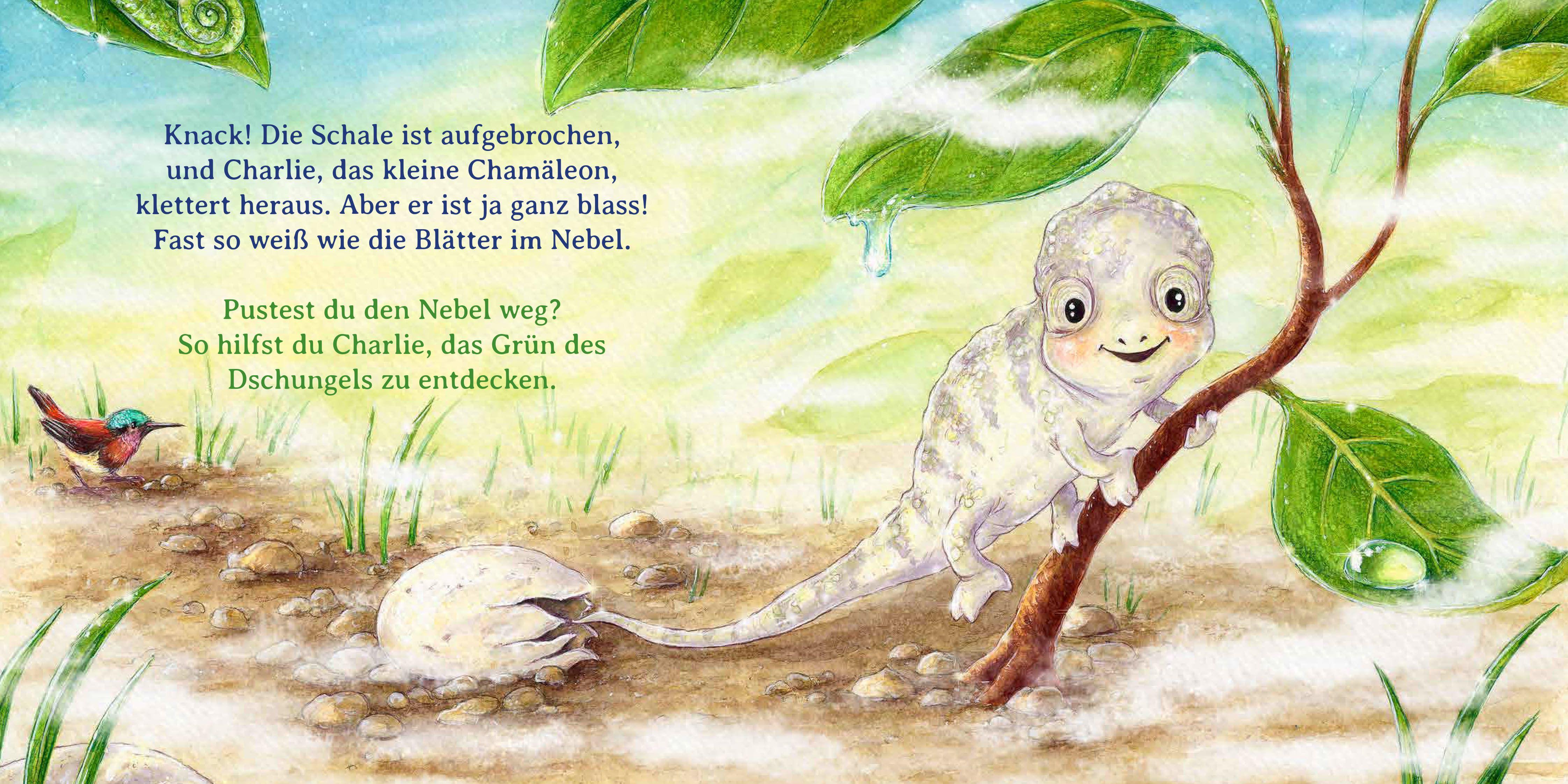 Beispielinhalt (Bild) Schau mal, alle meine Farben