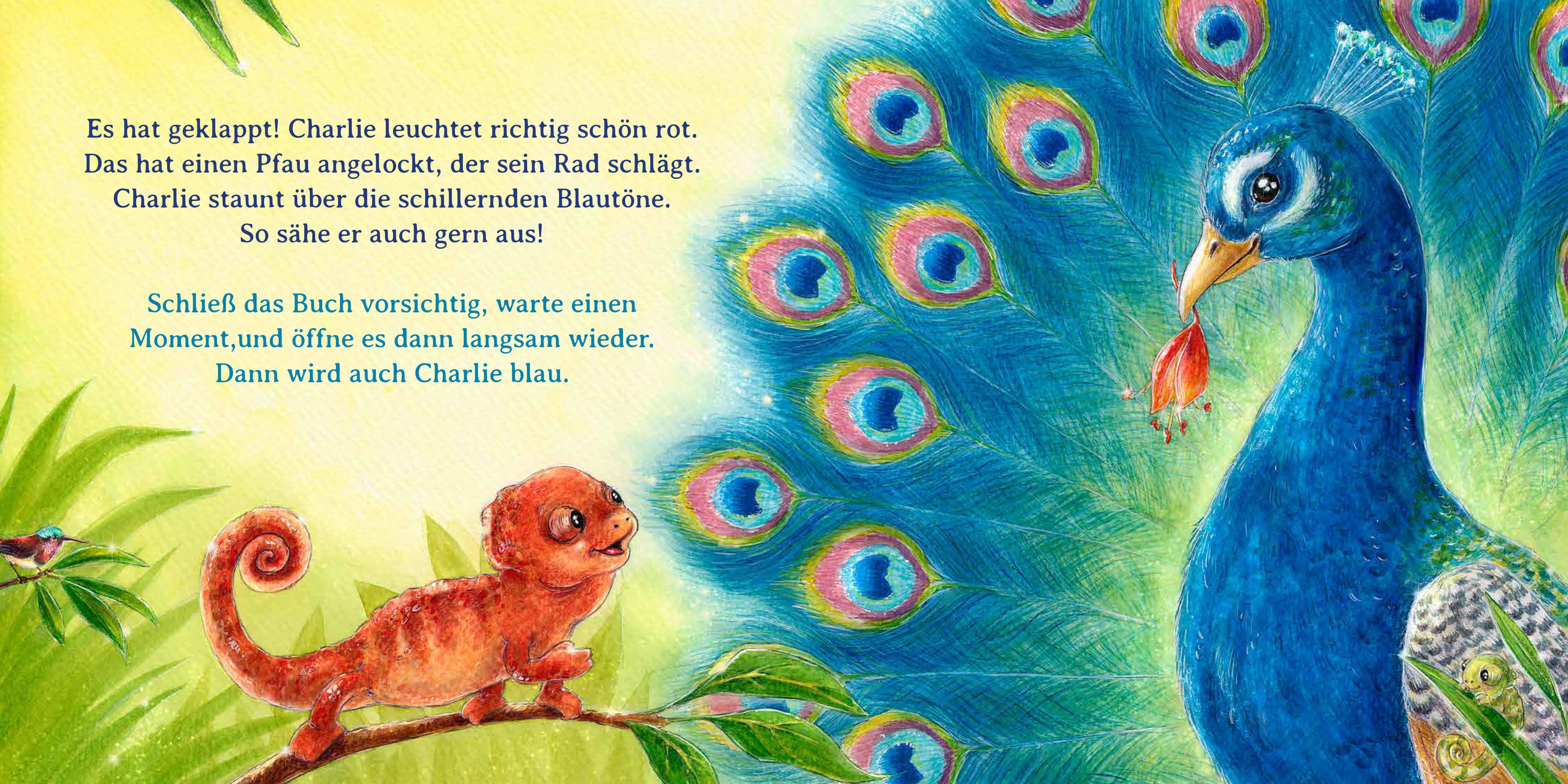 Beispielinhalt (Bild) Schau mal, alle meine Farben