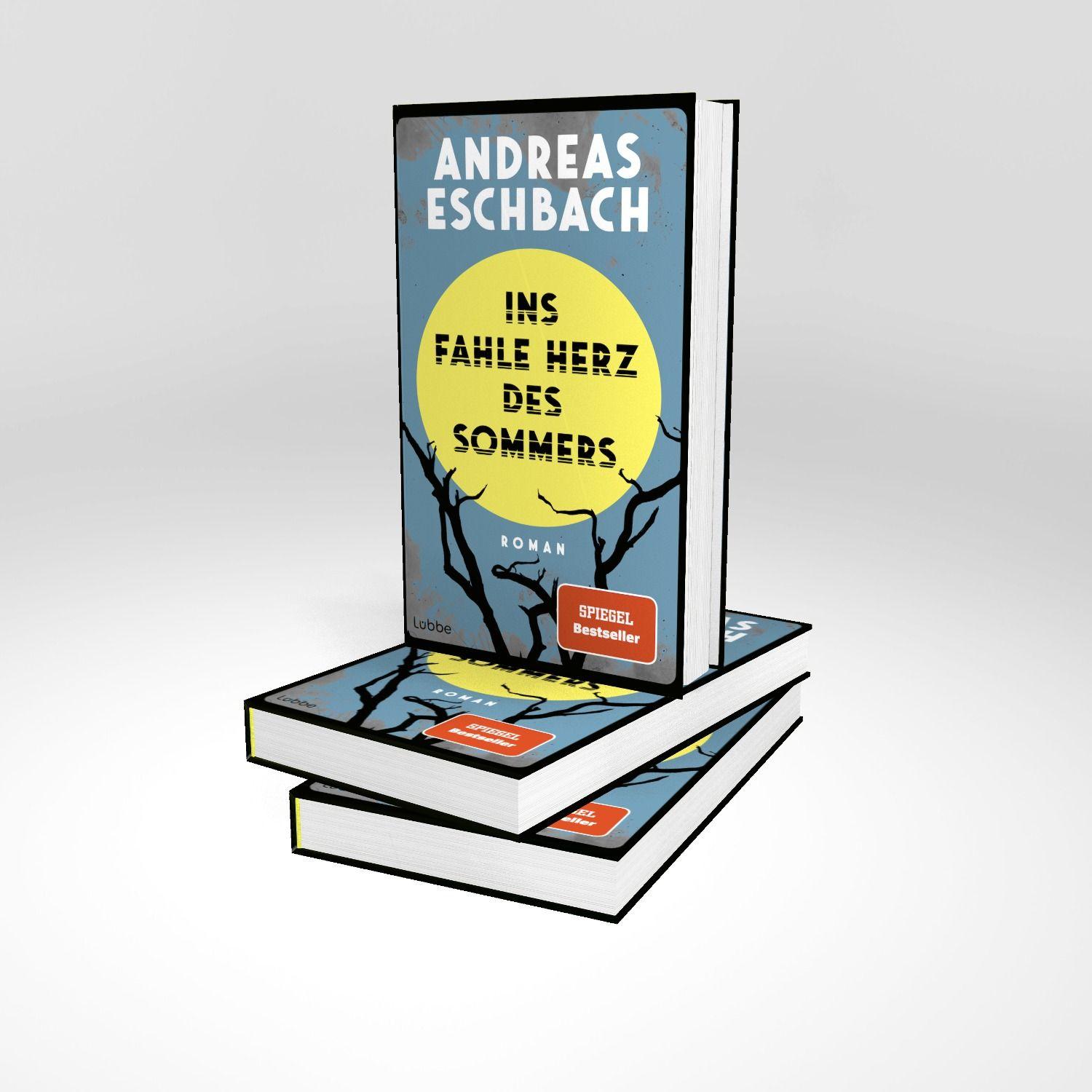 Beispielinhalt (Bild) Ins fahle Herz des Sommers