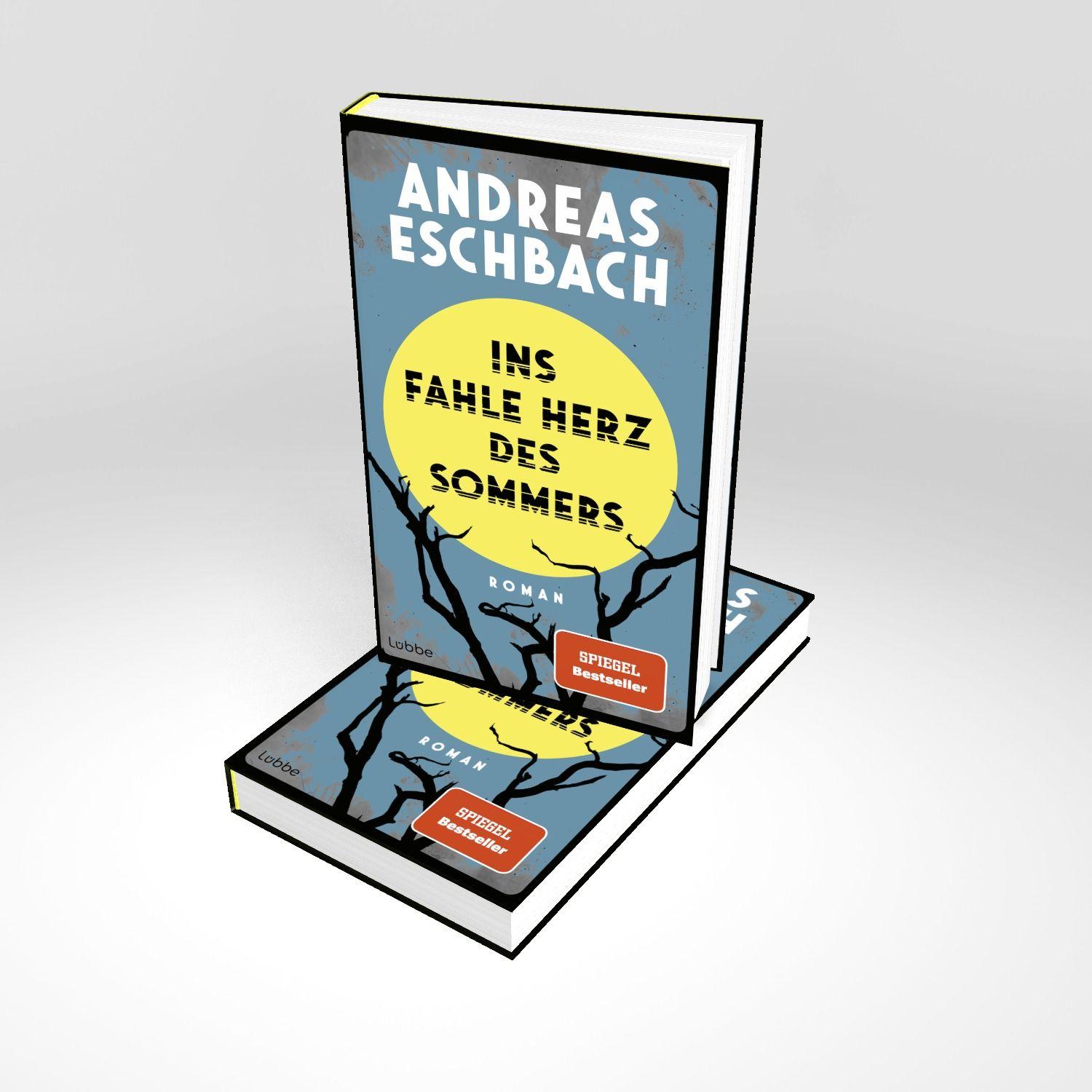 Beispielinhalt (Bild) Ins fahle Herz des Sommers