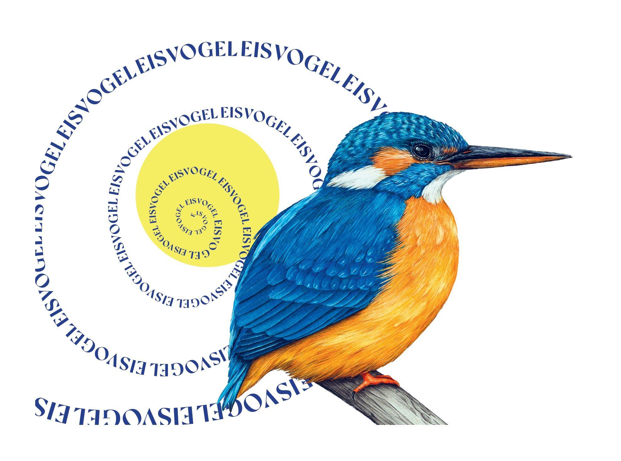 Beispielinhalt (Bild) Prachtliebe & Wunderfakten