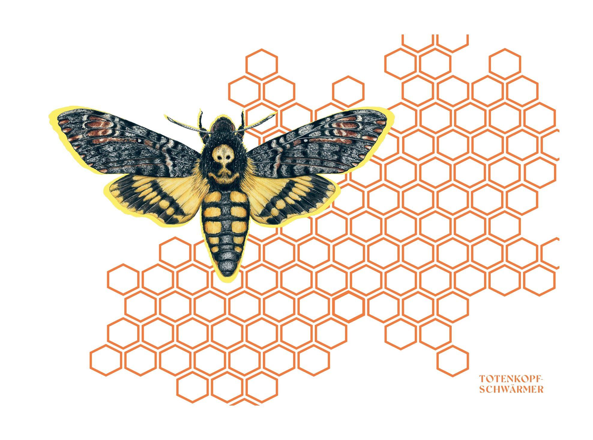 Beispielinhalt (Bild) Prachtliebe & Wunderfakten