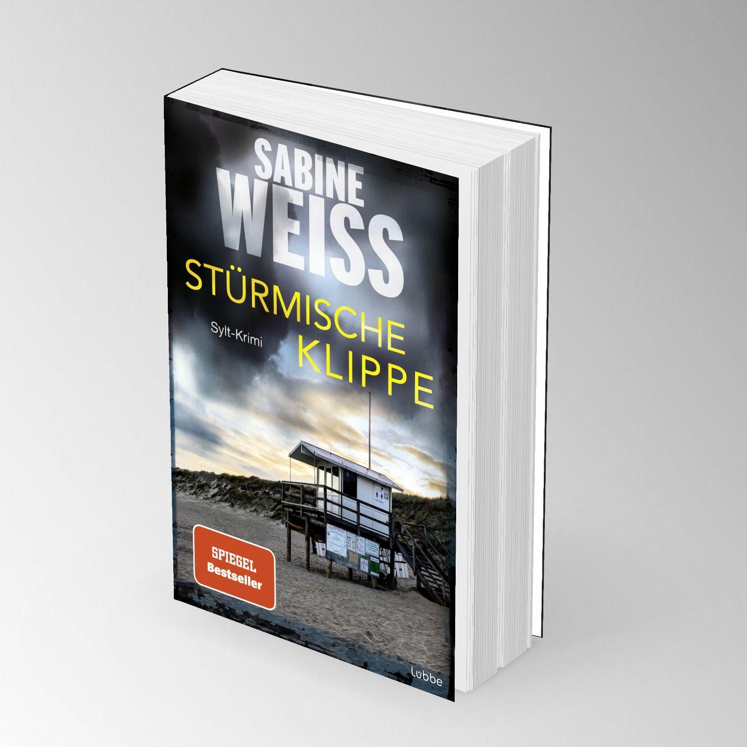 Beispielinhalt (Bild) Stürmische Klippe