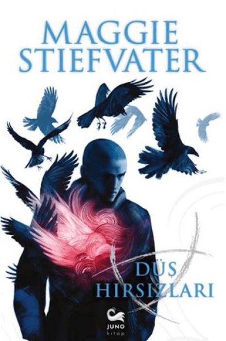 Vorderes Coverbild Düs Hirsizlari