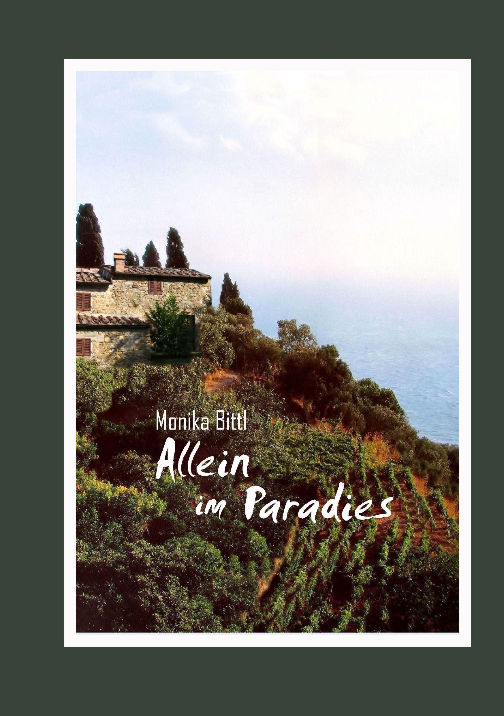 Vorderes Coverbild Allein im Paradies