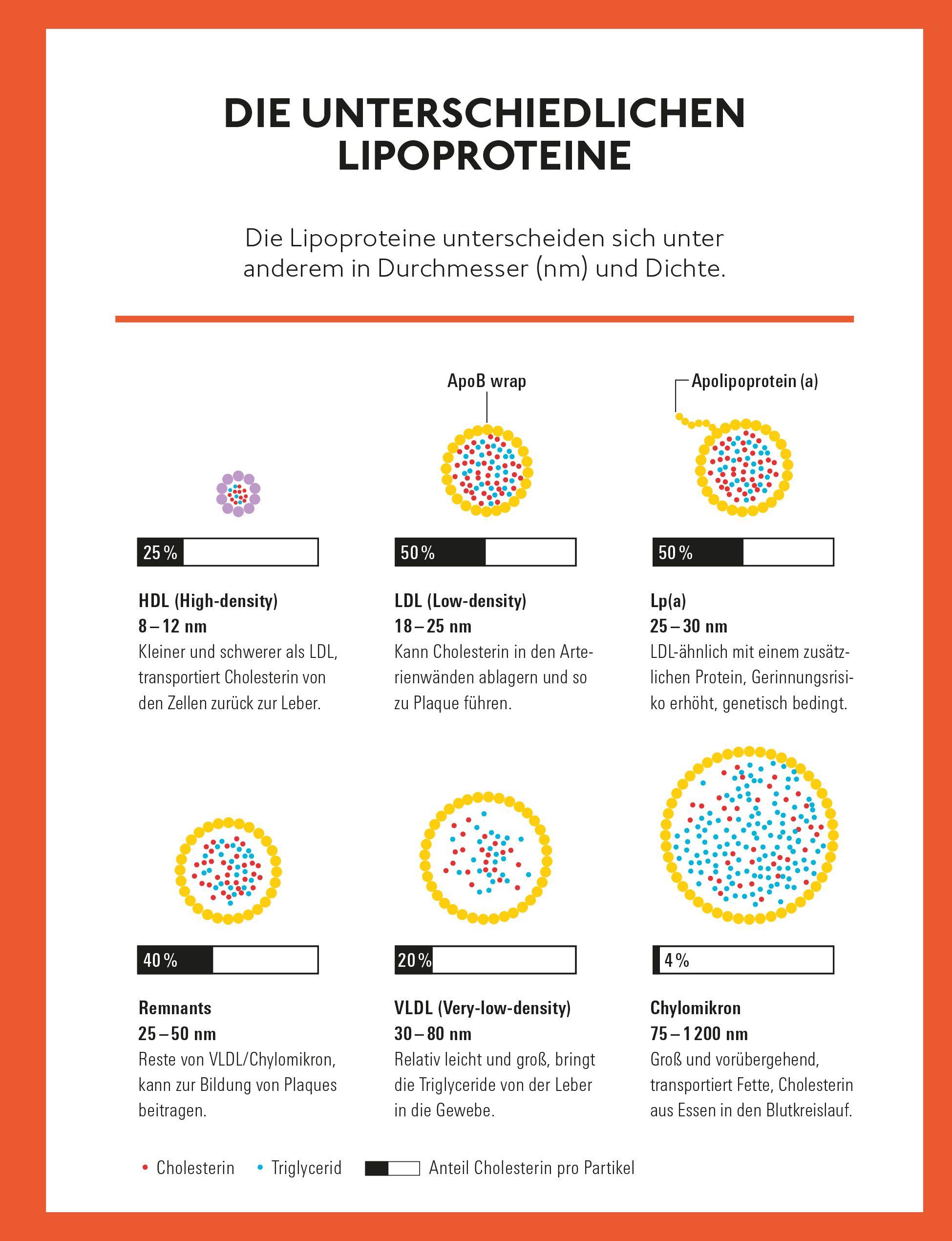 Beispielinhalt (Bild) Runter mit dem Cholesterin