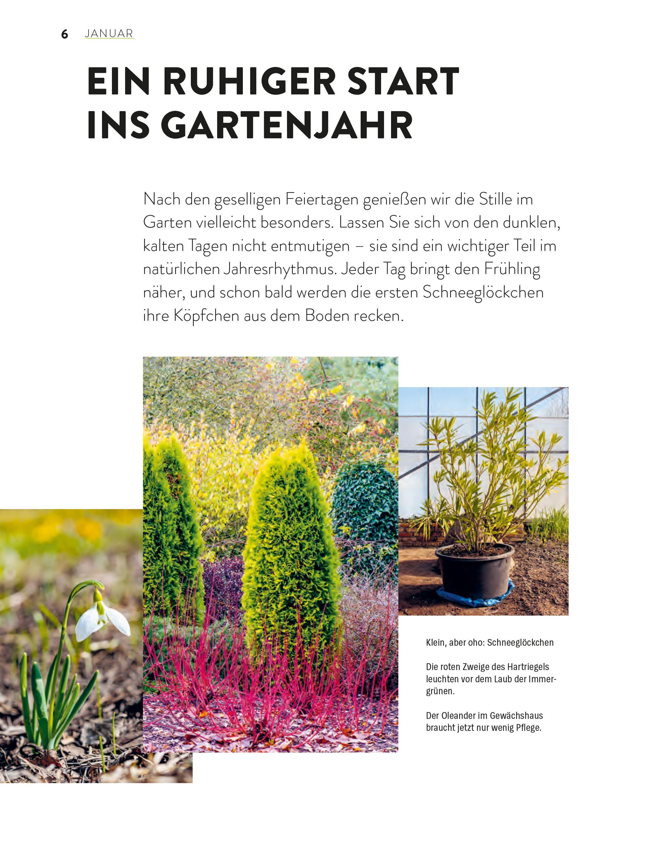 Beispielinhalt (Bild) Das große Gartenjahr-Buch