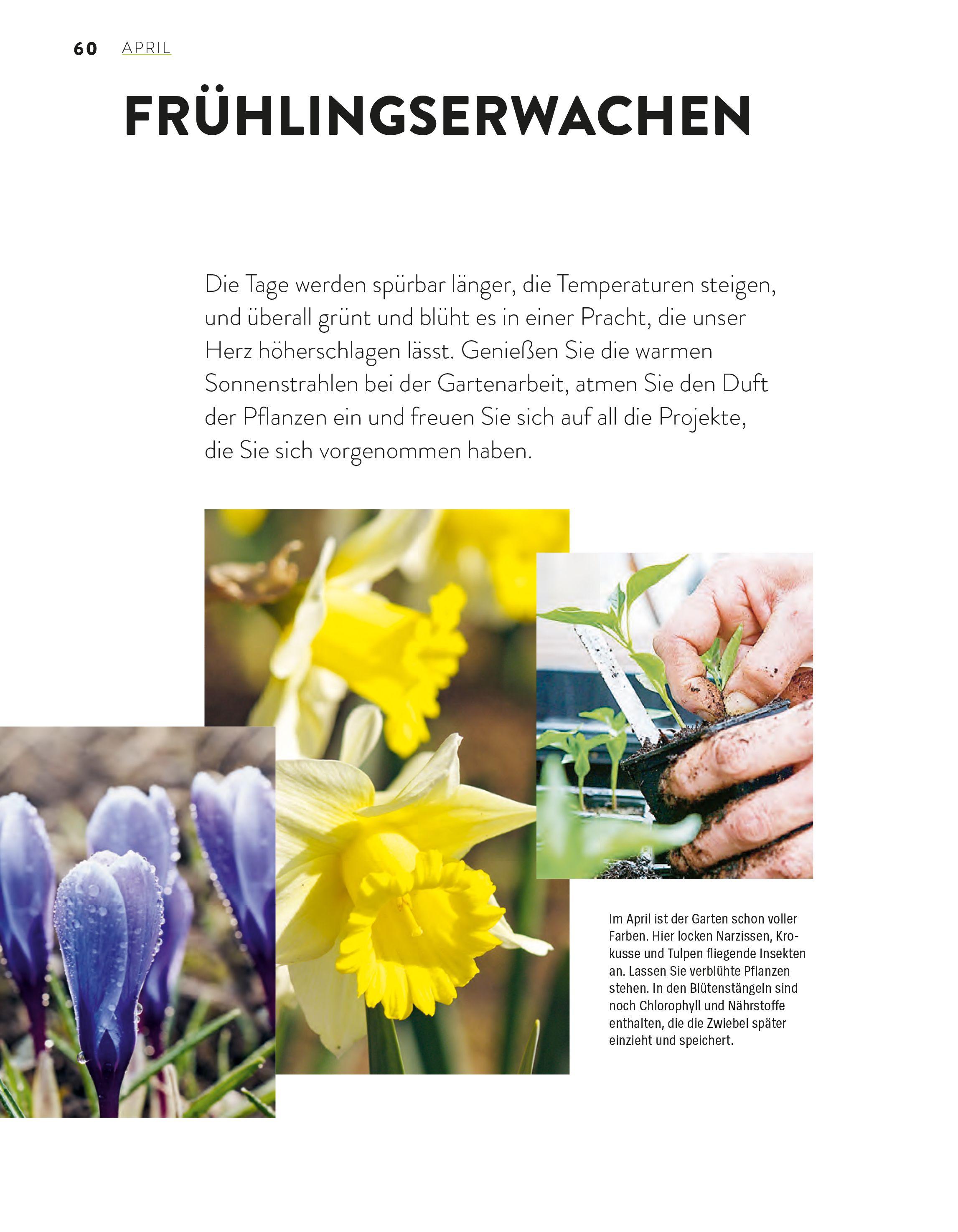 Beispielinhalt (Bild) Das große Gartenjahr-Buch