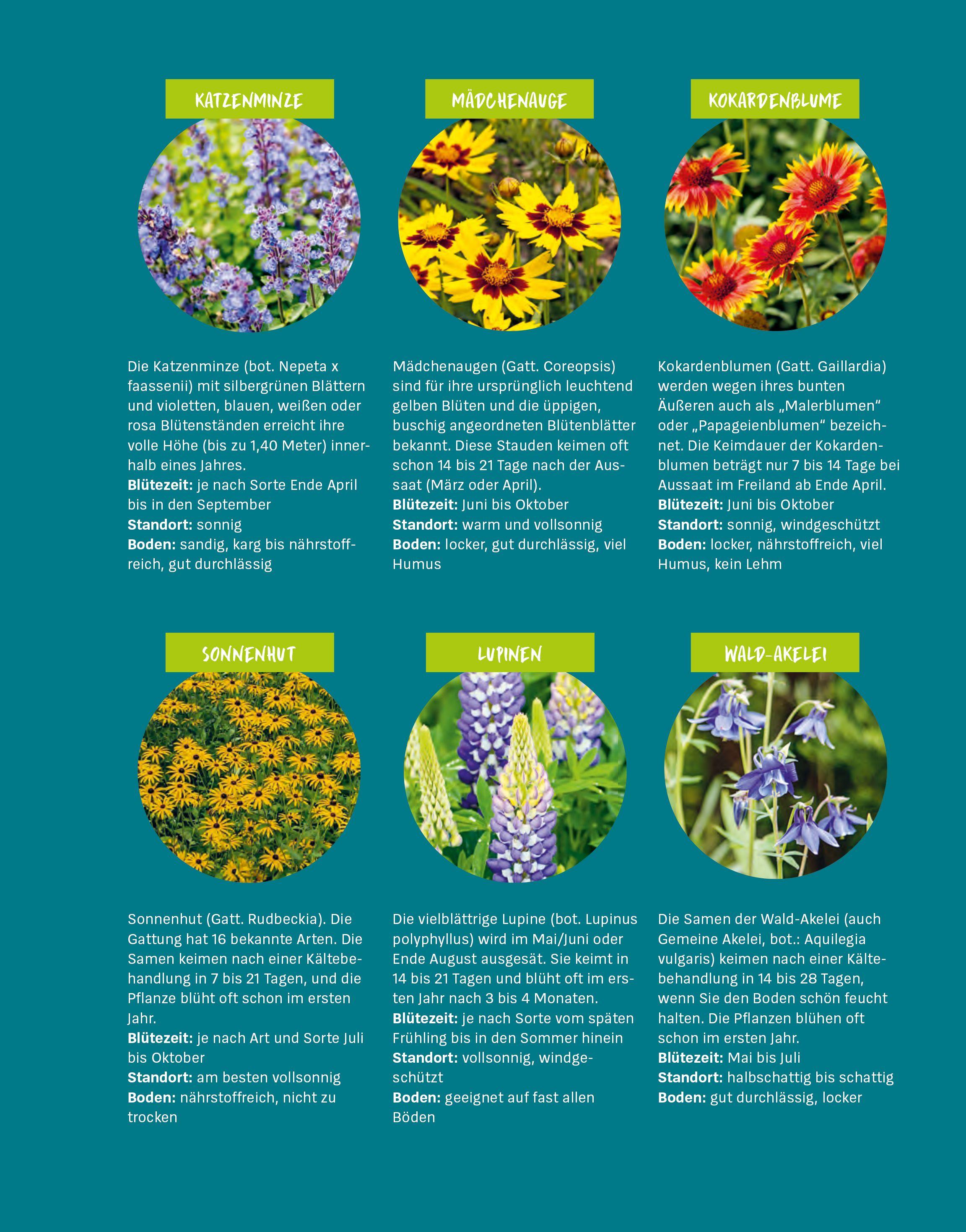 Beispielinhalt (Bild) Das große Gartenjahr-Buch