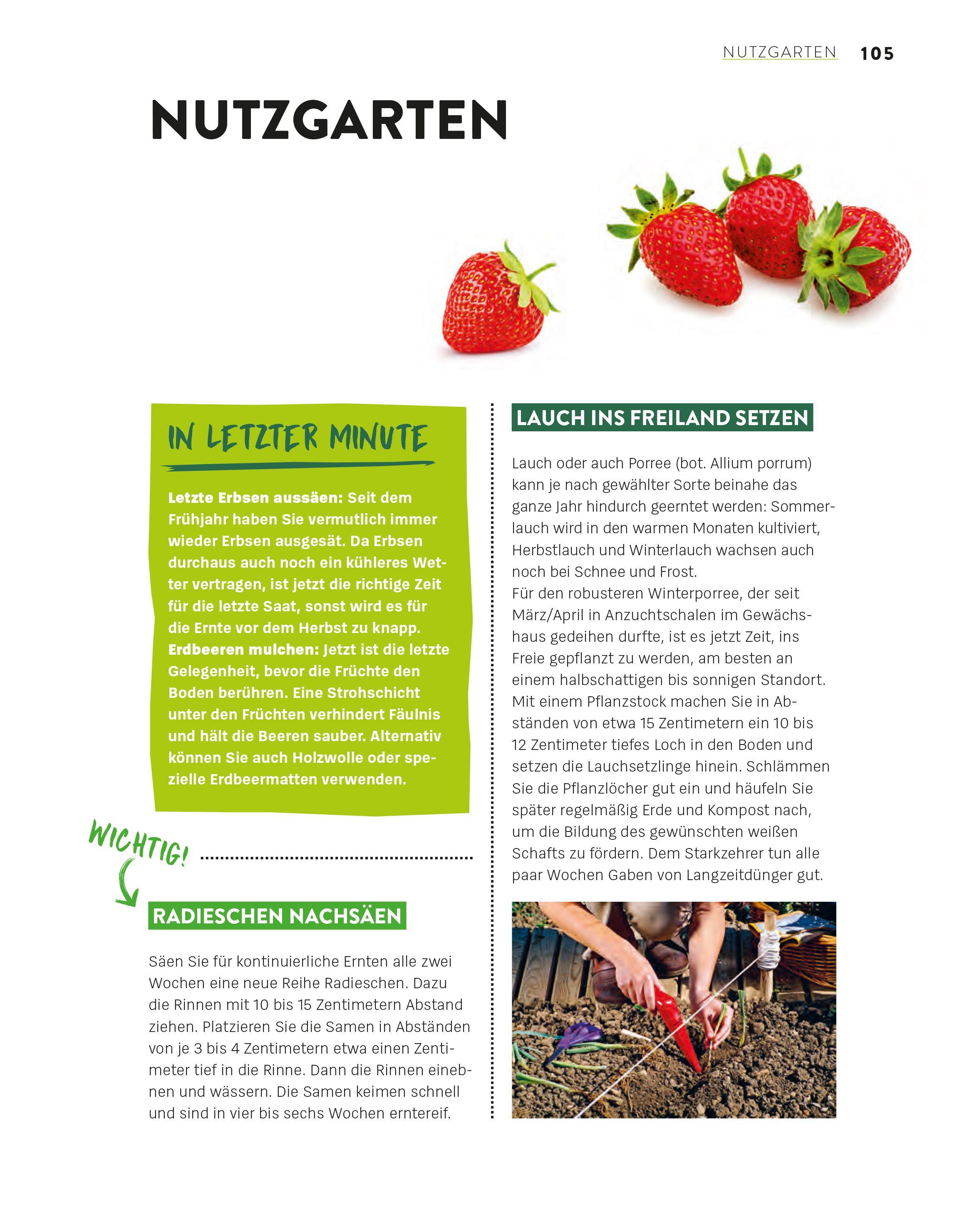 Beispielinhalt (Bild) Das große Gartenjahr-Buch