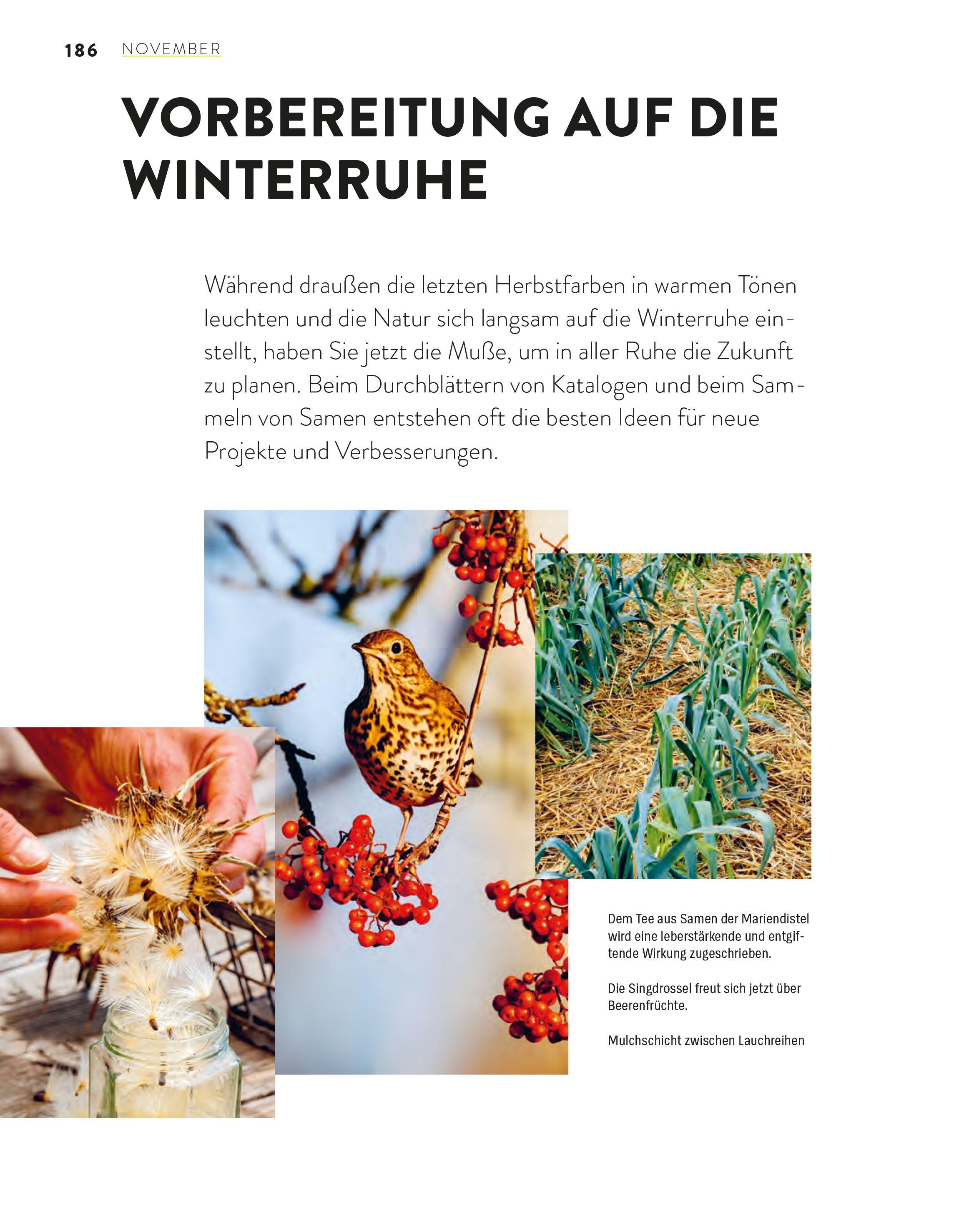 Beispielinhalt (Bild) Das große Gartenjahr-Buch