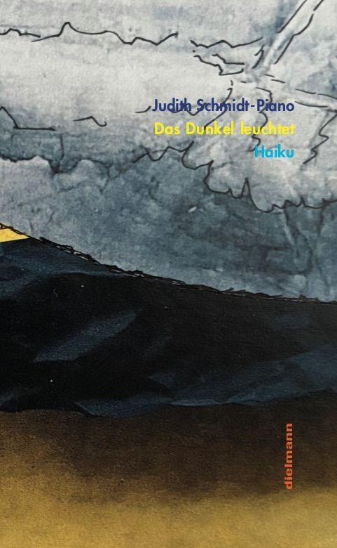 Vorderes Coverbild Das Dunkel leuchtet