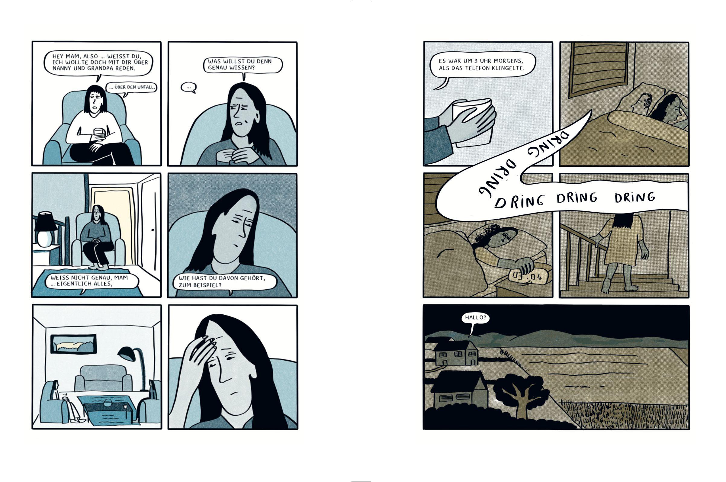 Beispielinhalt (Bild) Flug 111