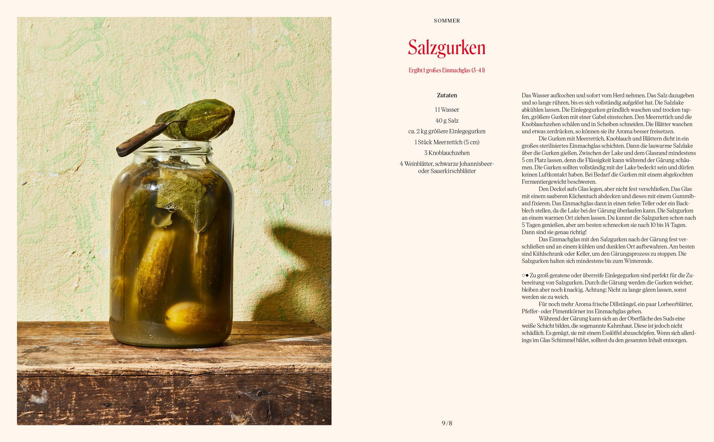 Beispielinhalt (Bild) God is a Pickle