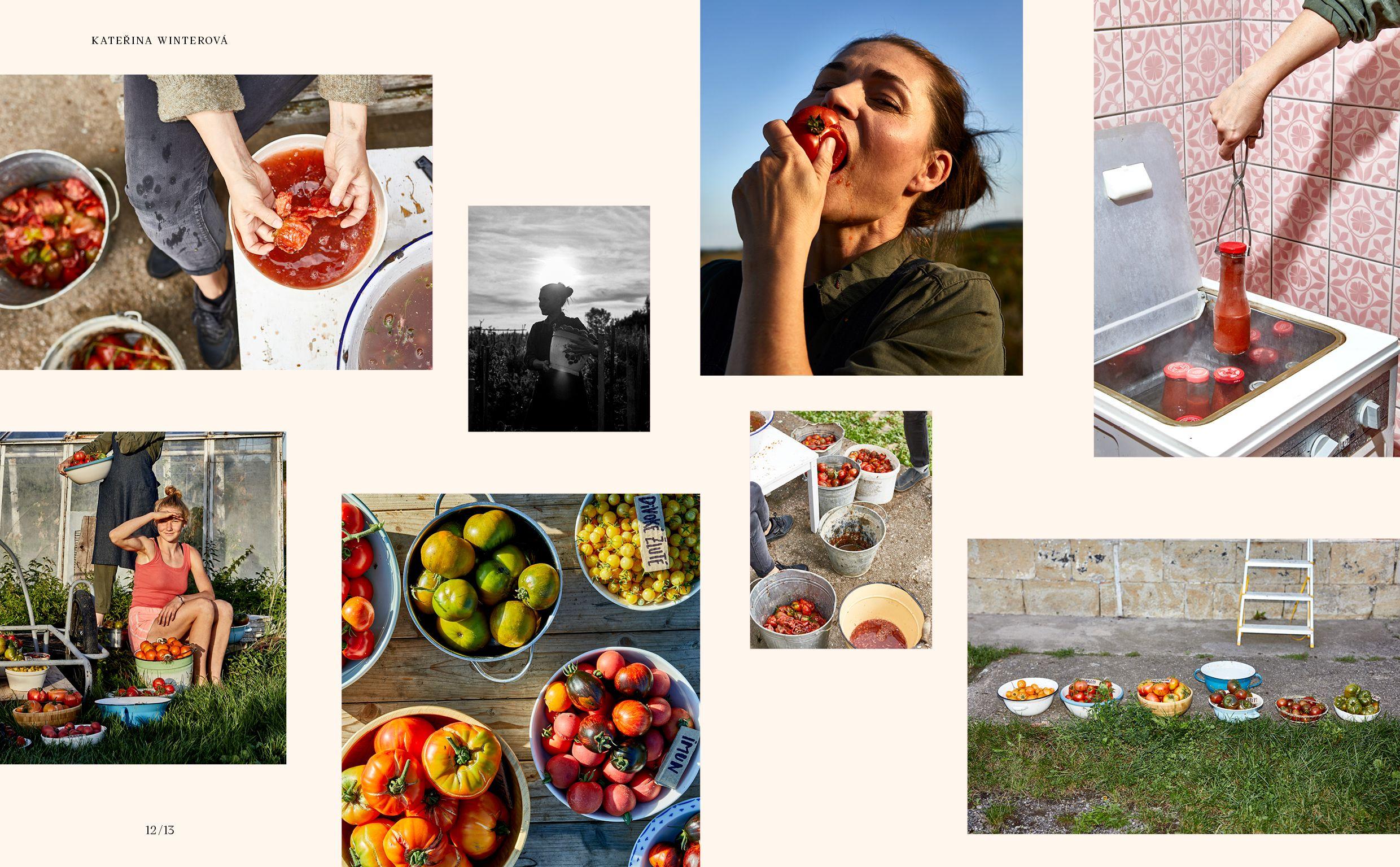 Beispielinhalt (Bild) God is a Pickle