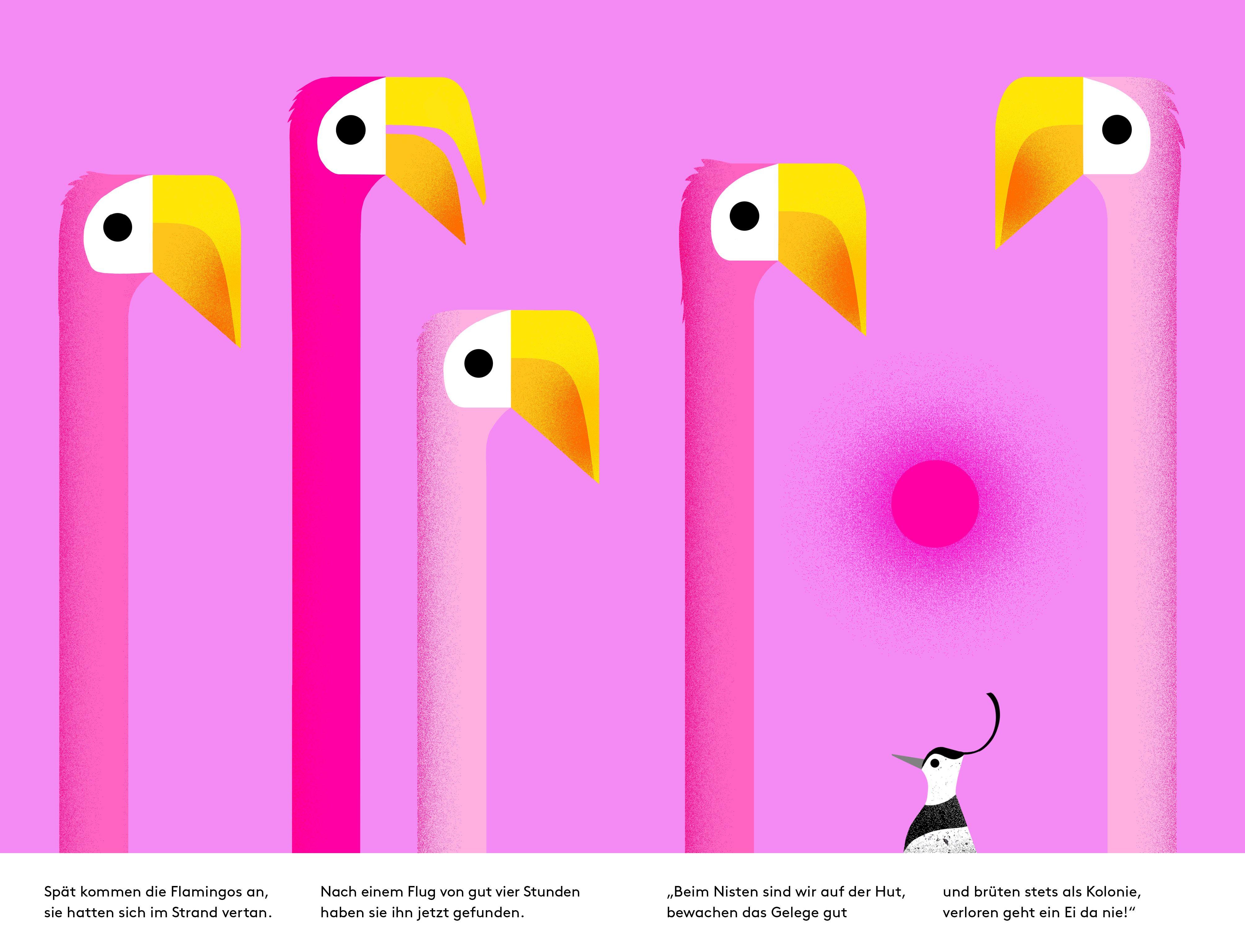 Beispielinhalt (Bild) Auwei! Ein Ei!