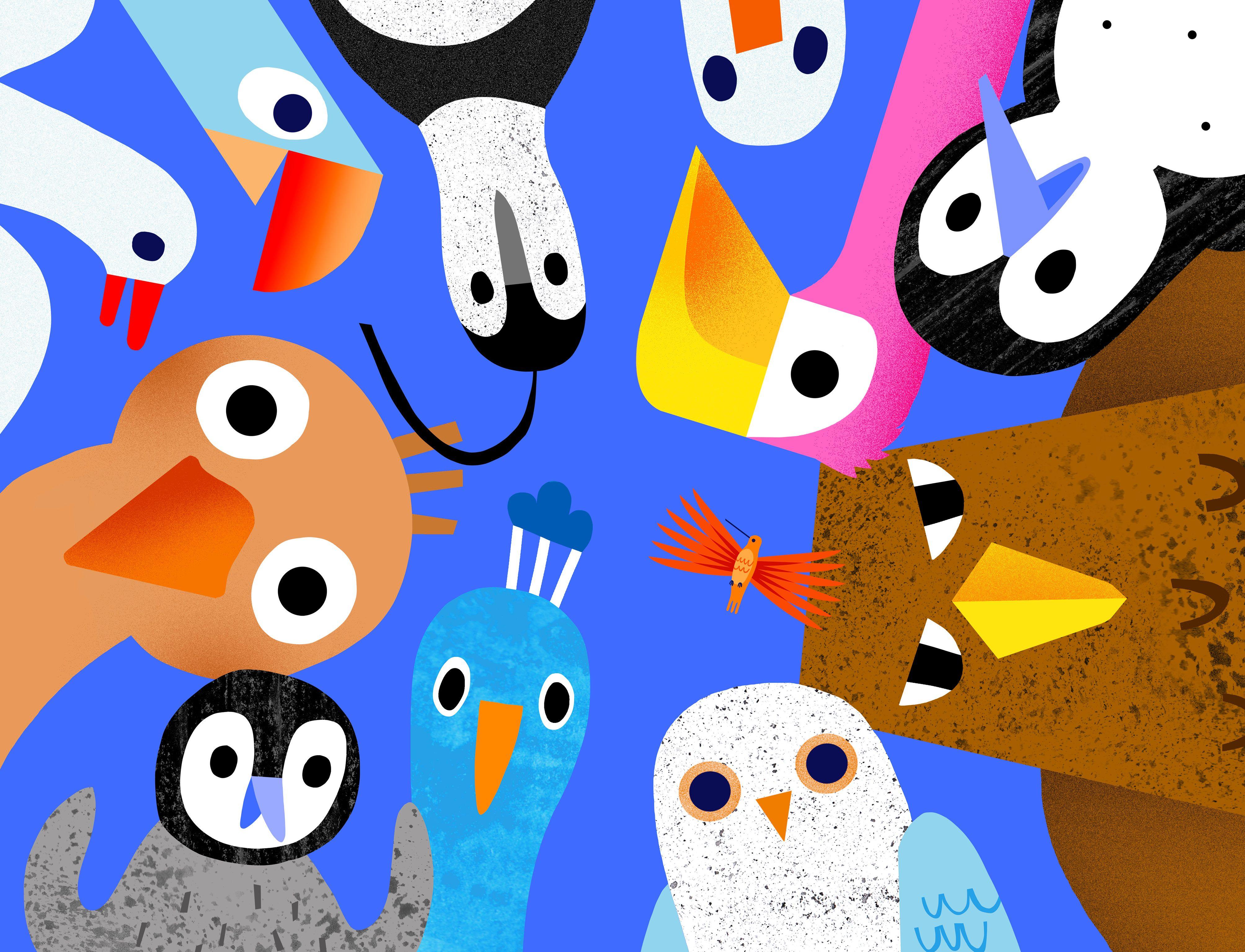 Beispielinhalt (Bild) Auwei! Ein Ei!