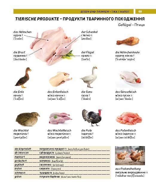 Beispielinhalt (Bild) PONS Bildwörterbuch Ukrainisch