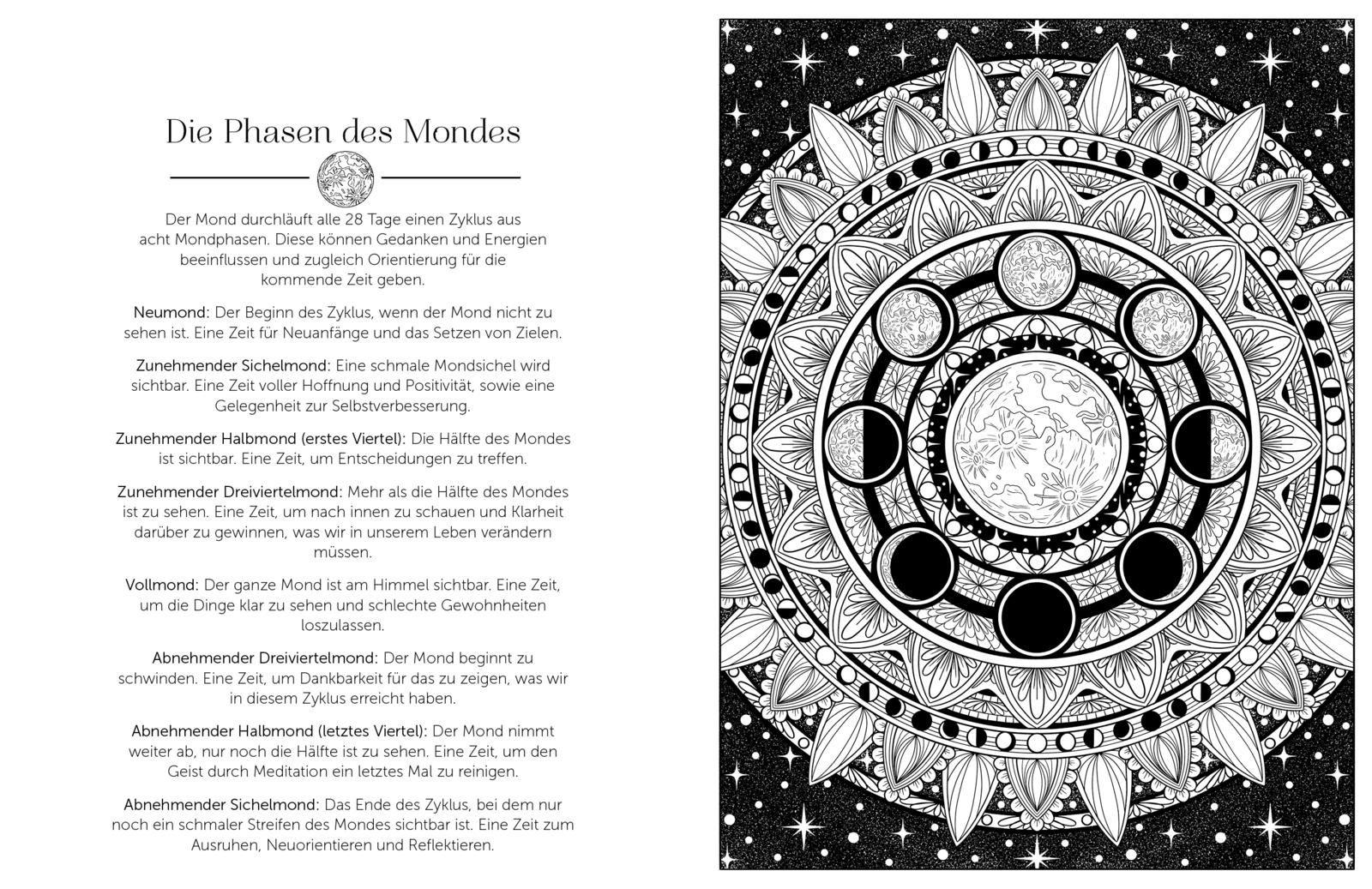 Beispielinhalt (Bild) Im magischen Mondlicht