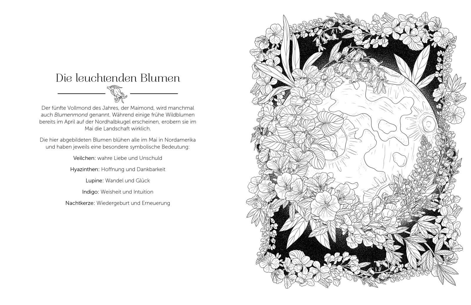 Beispielinhalt (Bild) Im magischen Mondlicht