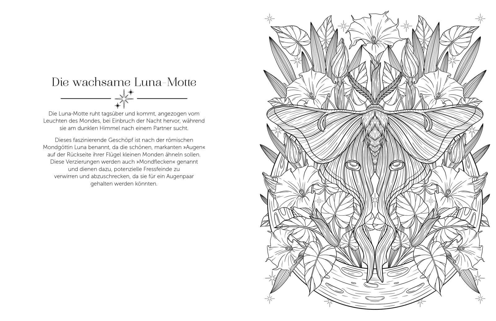 Beispielinhalt (Bild) Im magischen Mondlicht