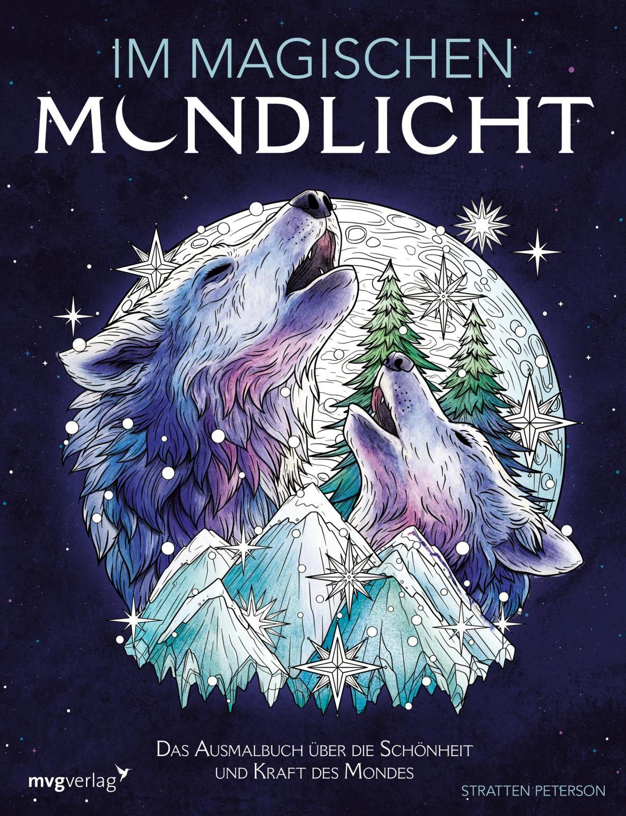 Vorderes Coverbild Im magischen Mondlicht