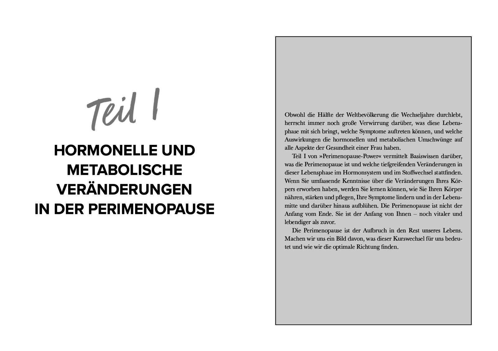 Beispielinhalt (Bild) Perimenopause-Power