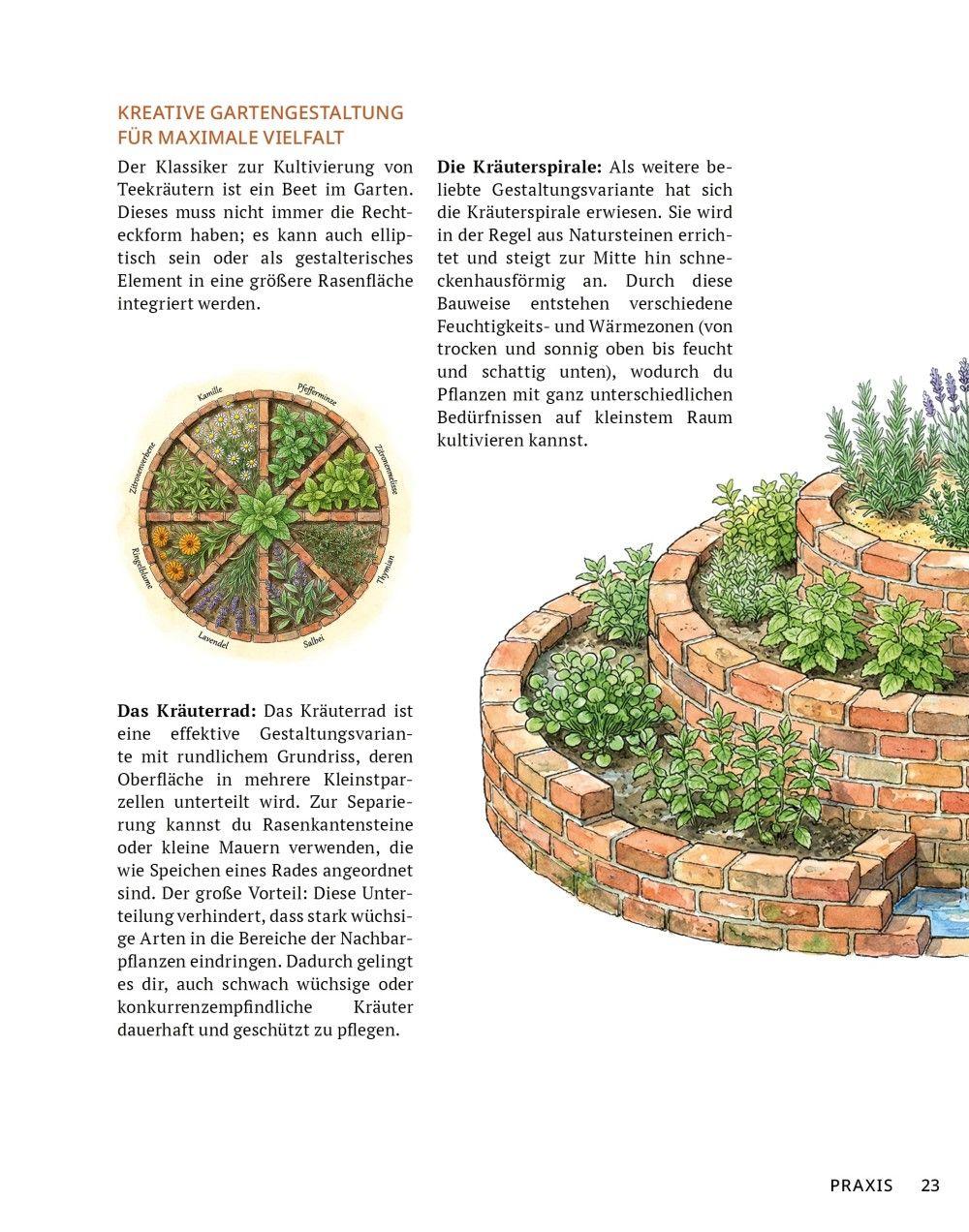 Beispielinhalt (Bild) Die Tee-Apotheke