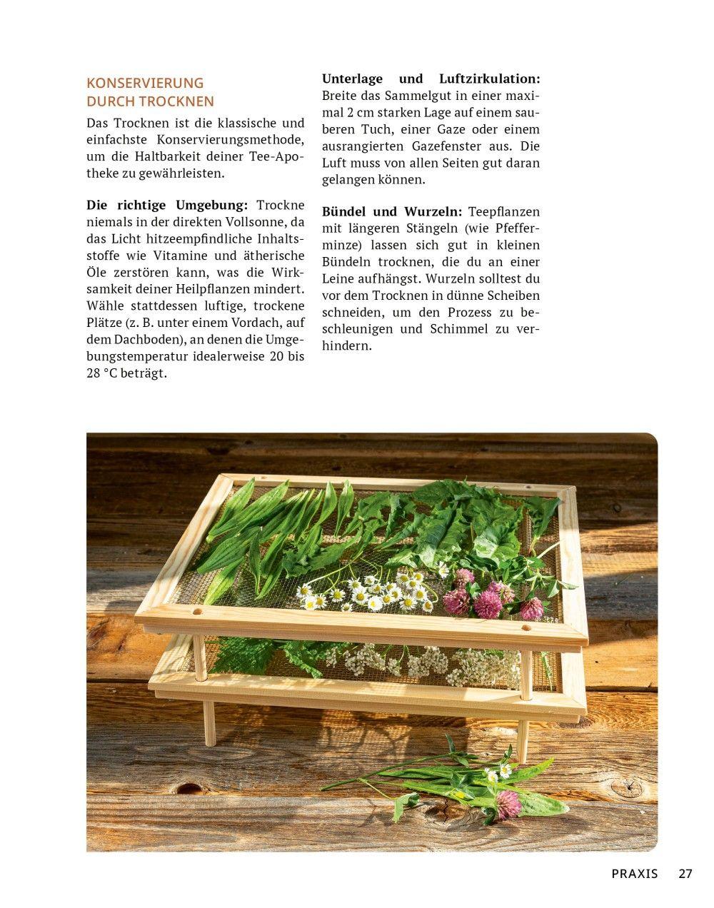 Beispielinhalt (Bild) Die Tee-Apotheke