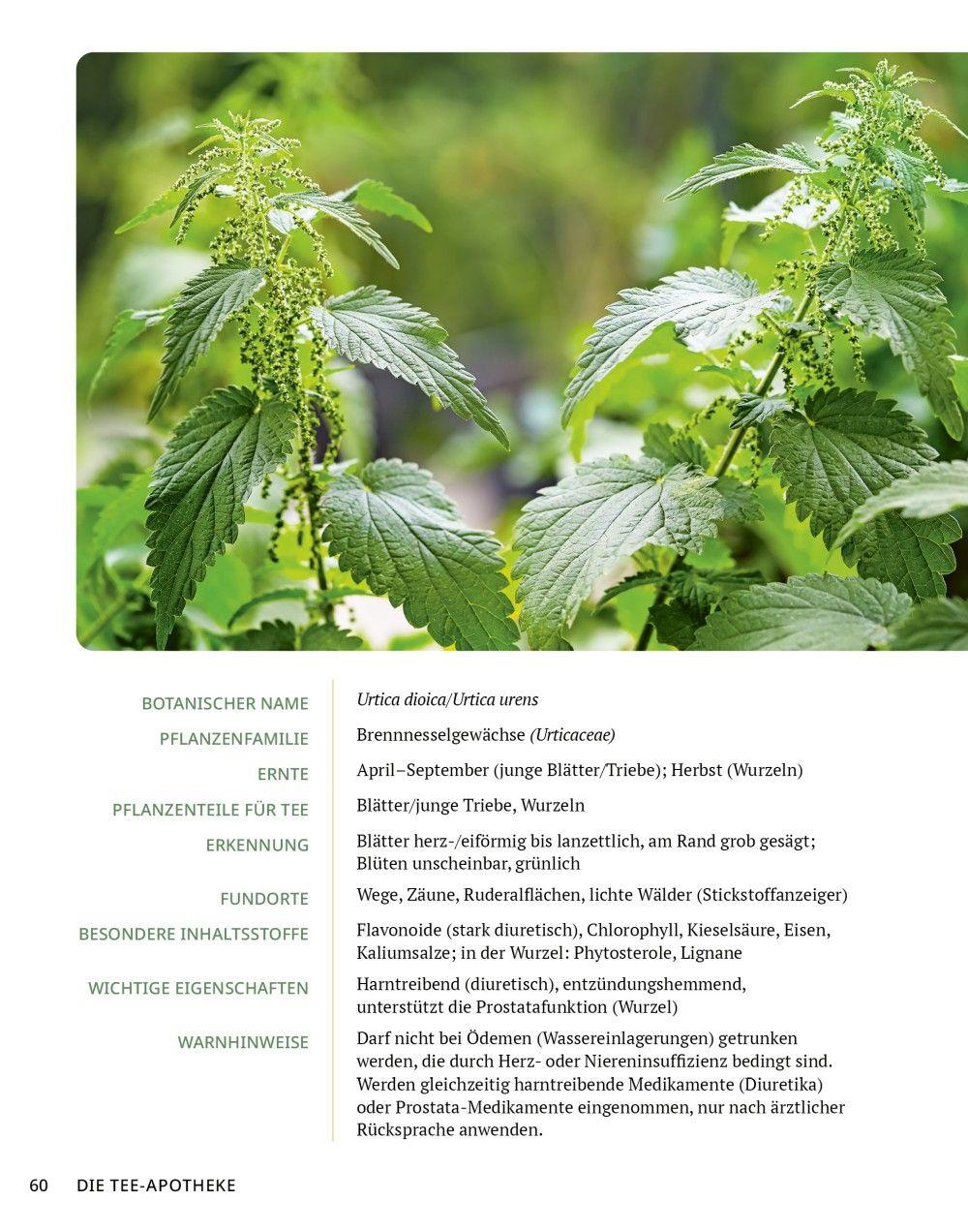 Beispielinhalt (Bild) Die Tee-Apotheke