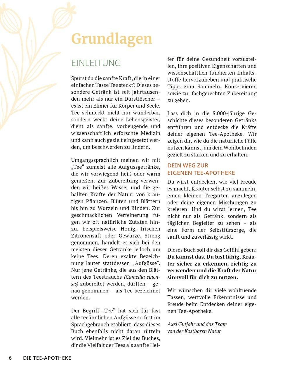 Beispielinhalt (Bild) Die Tee-Apotheke