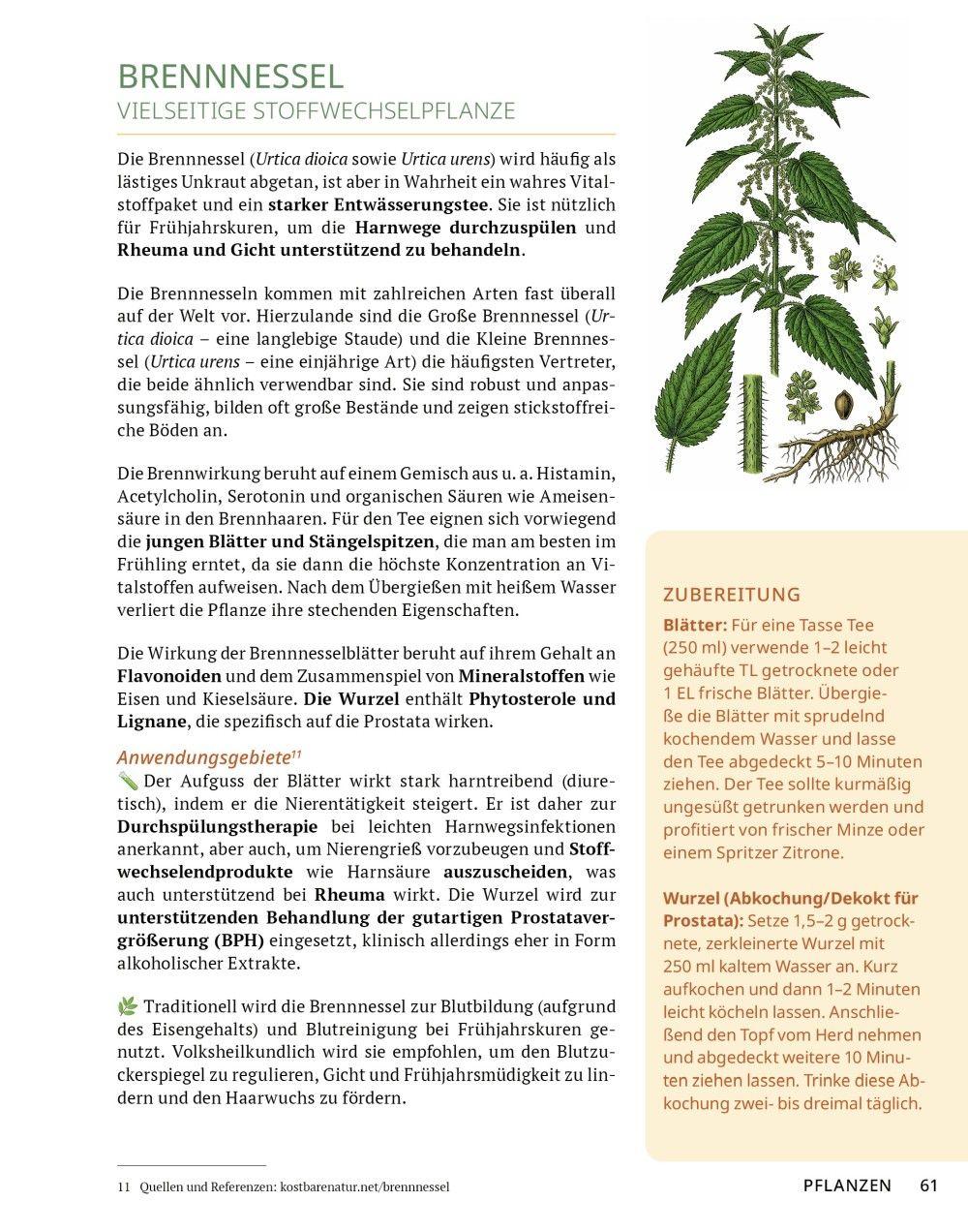 Beispielinhalt (Bild) Die Tee-Apotheke