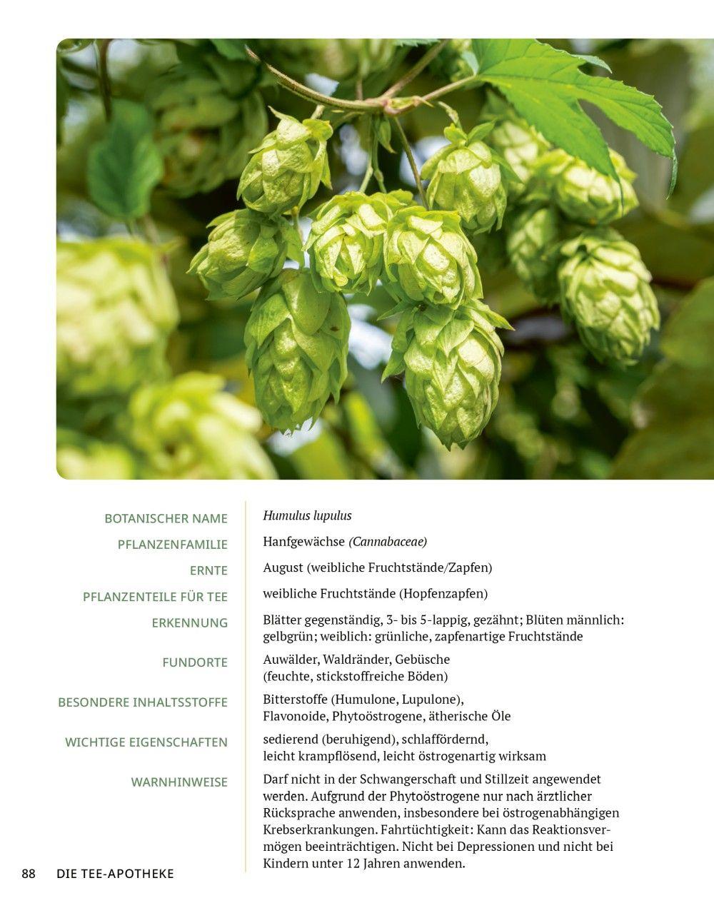 Beispielinhalt (Bild) Die Tee-Apotheke