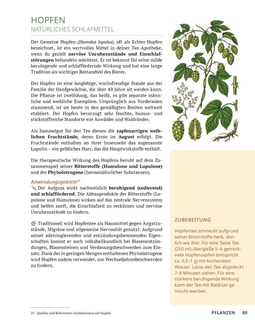 Beispielinhalt (Bild) Die Tee-Apotheke