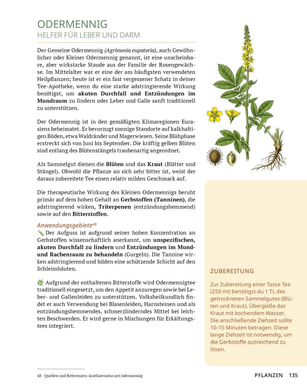 Beispielinhalt (Bild) Die Tee-Apotheke