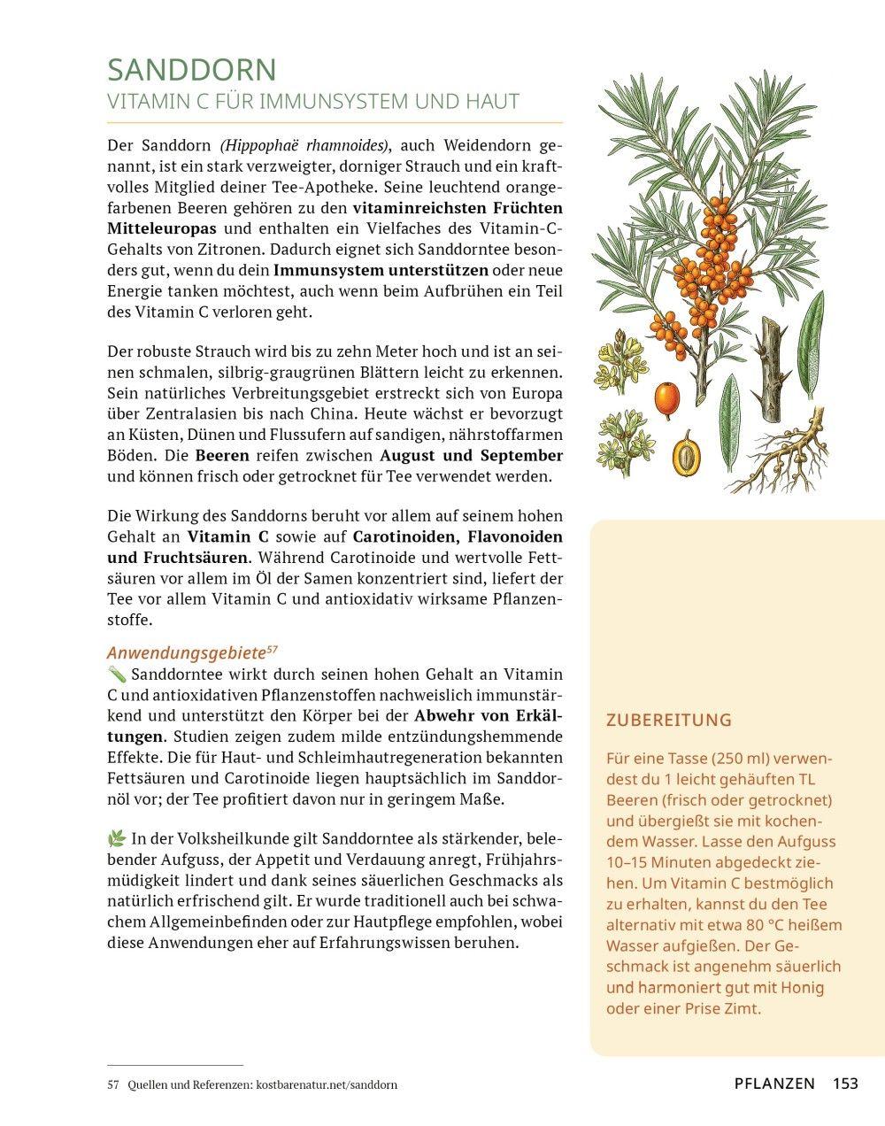 Beispielinhalt (Bild) Die Tee-Apotheke